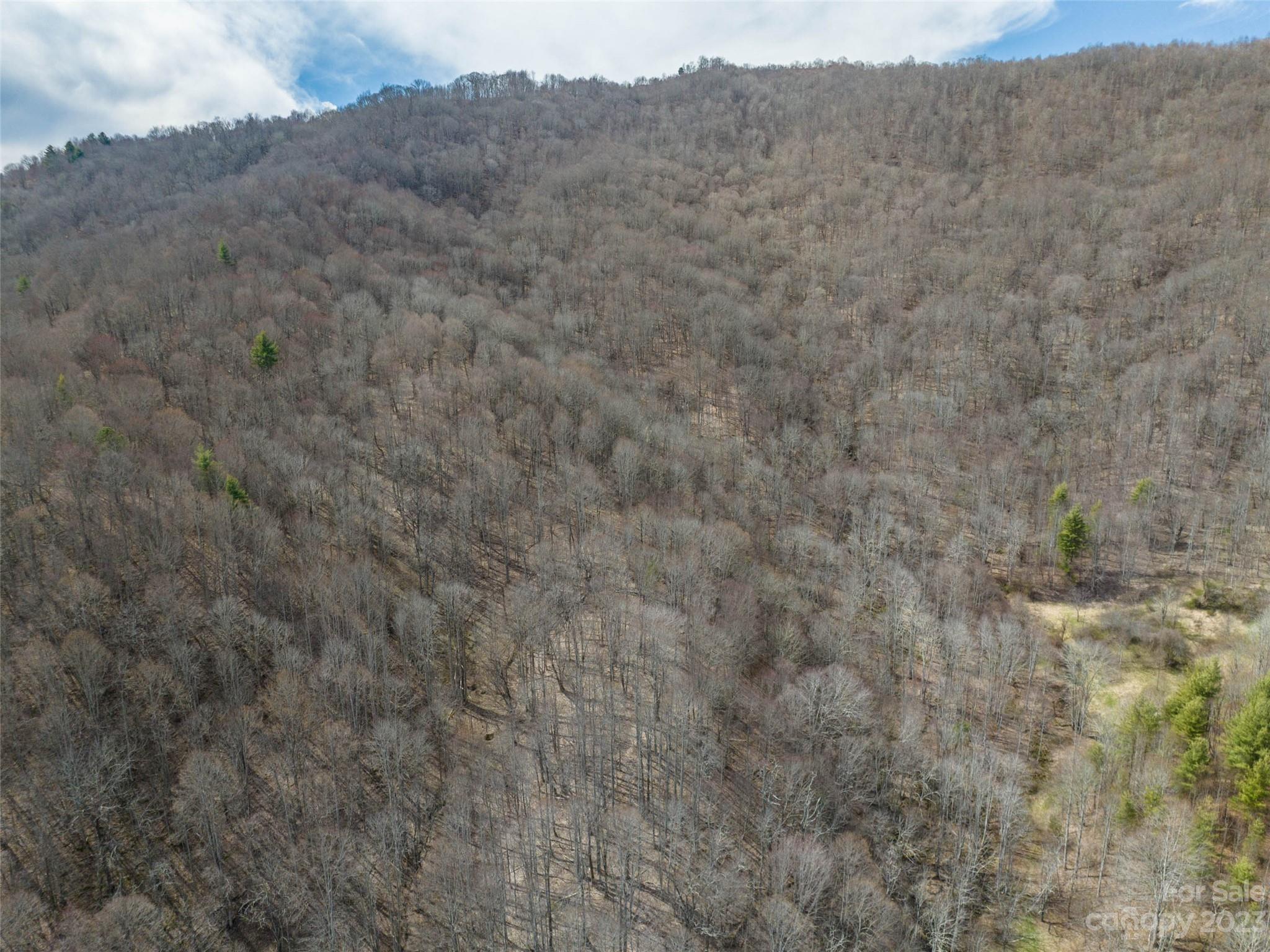 00 Wesley Creek Road Property Photo 31