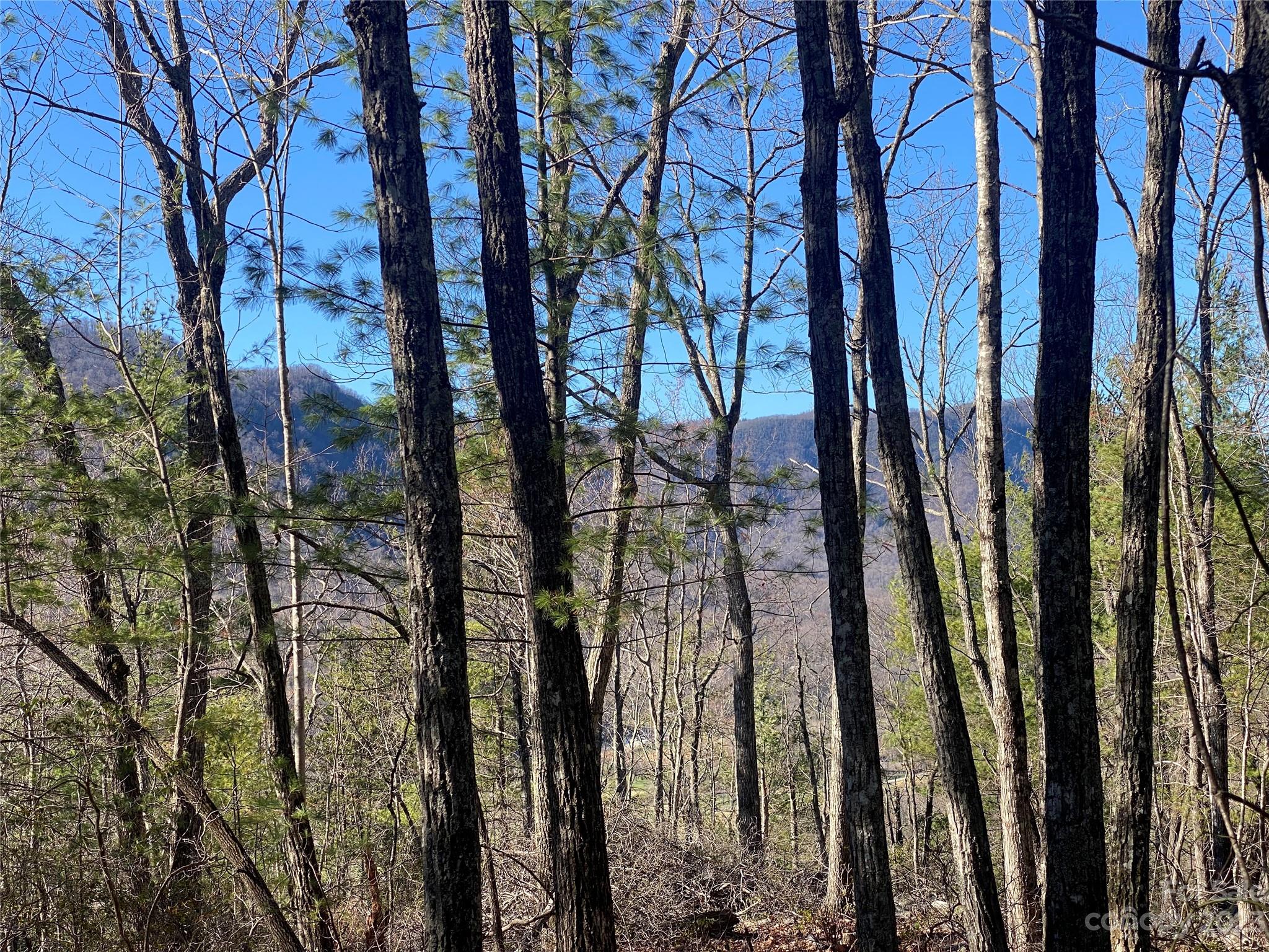 Lot 49 Sunrise Path Property Photo 1