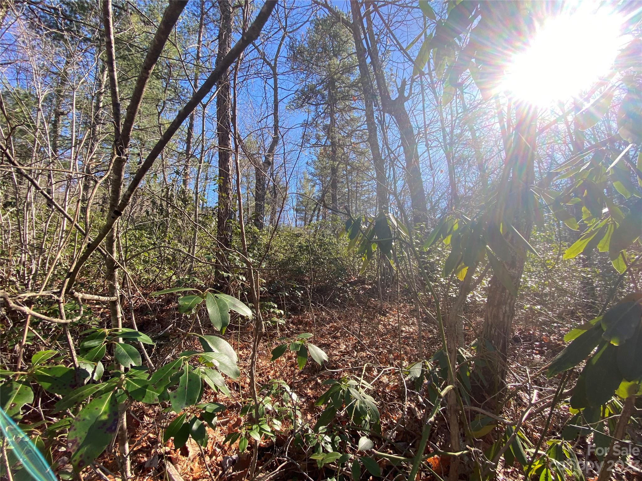 Lot 49 Sunrise Path Property Photo 7