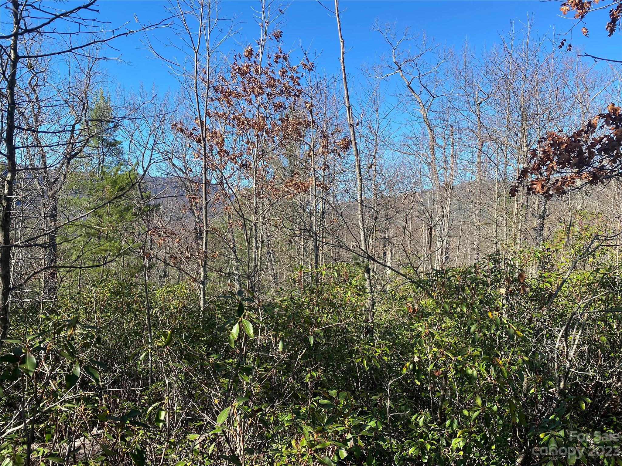 Lot 49 Sunrise Path Property Photo 8