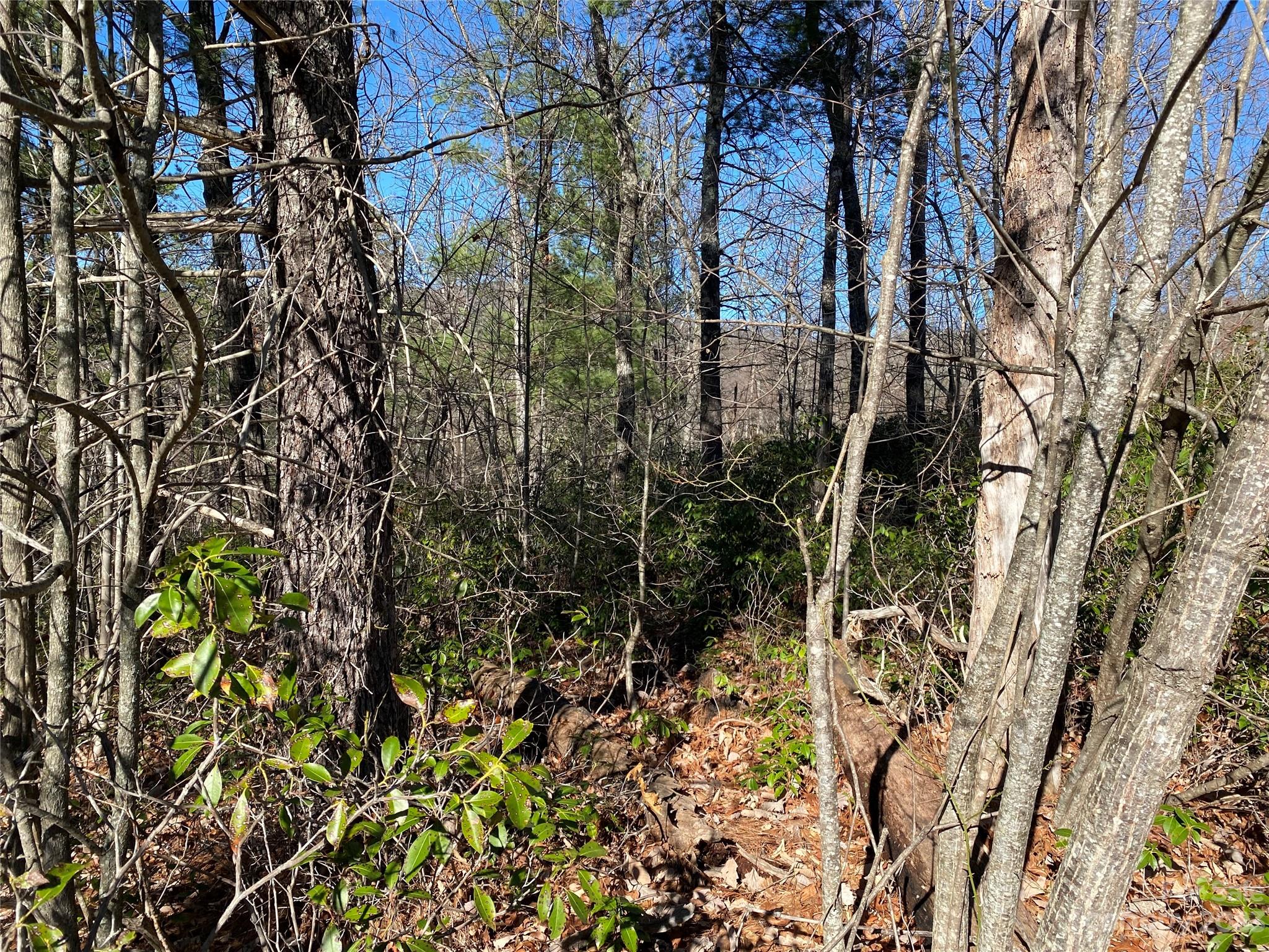 Lot 49 Sunrise Path Property Photo 9