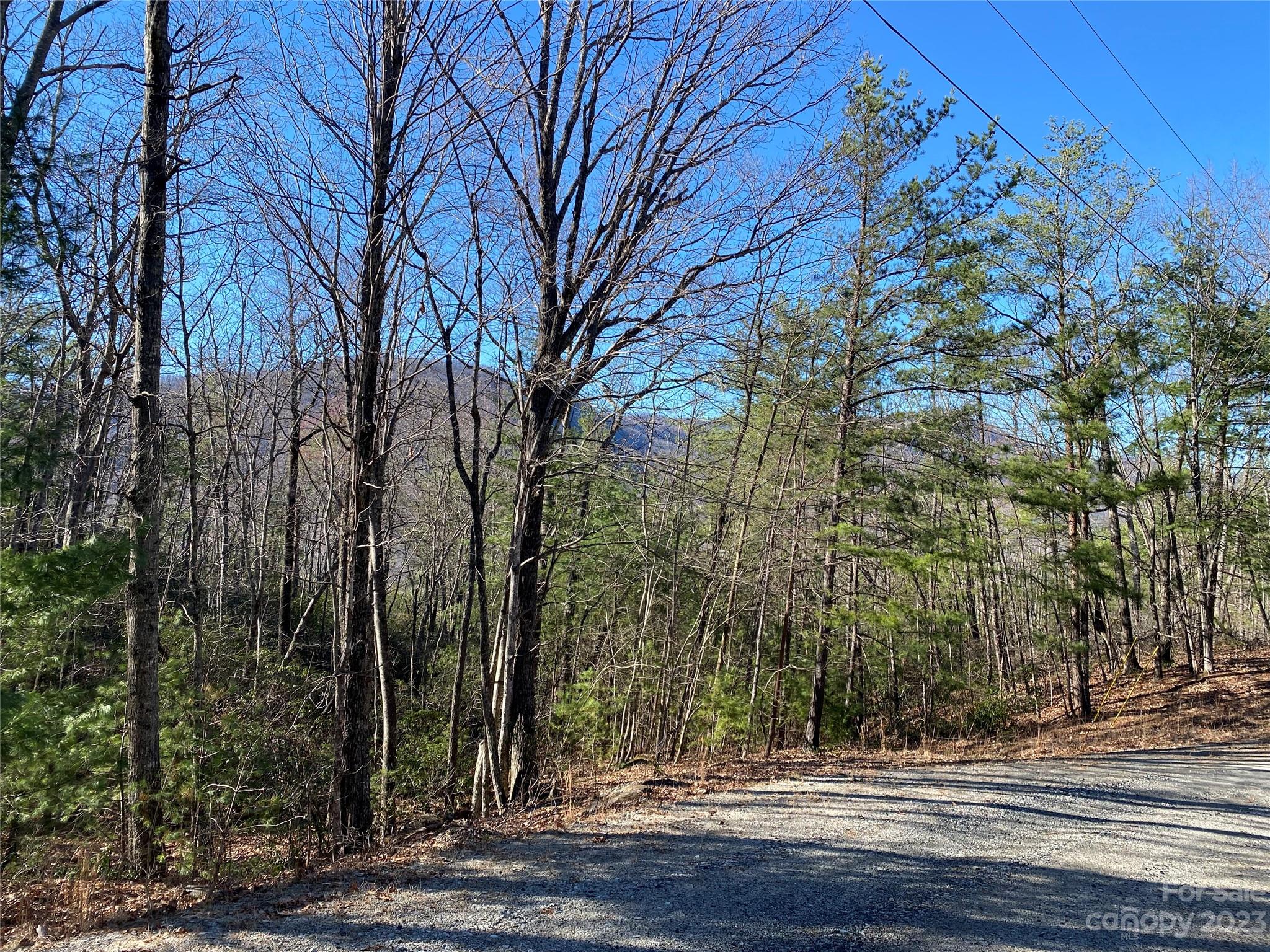Lot 49 Sunrise Path Property Photo 11