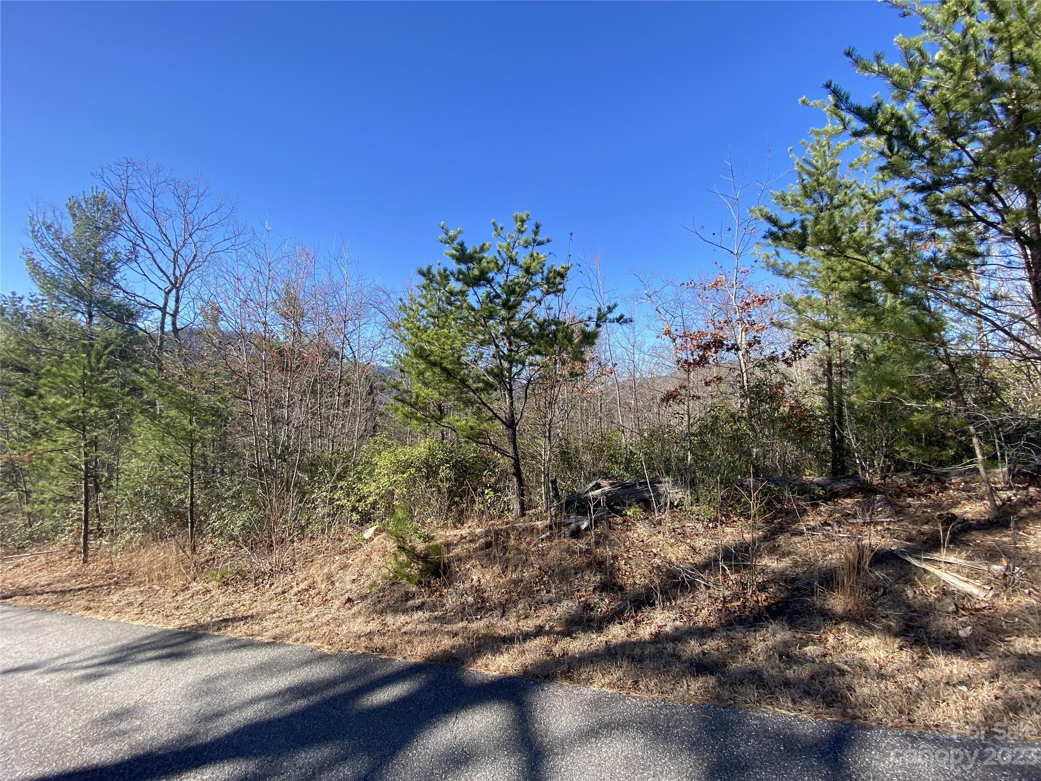 Lot 49 Sunrise Path Property Photo 13