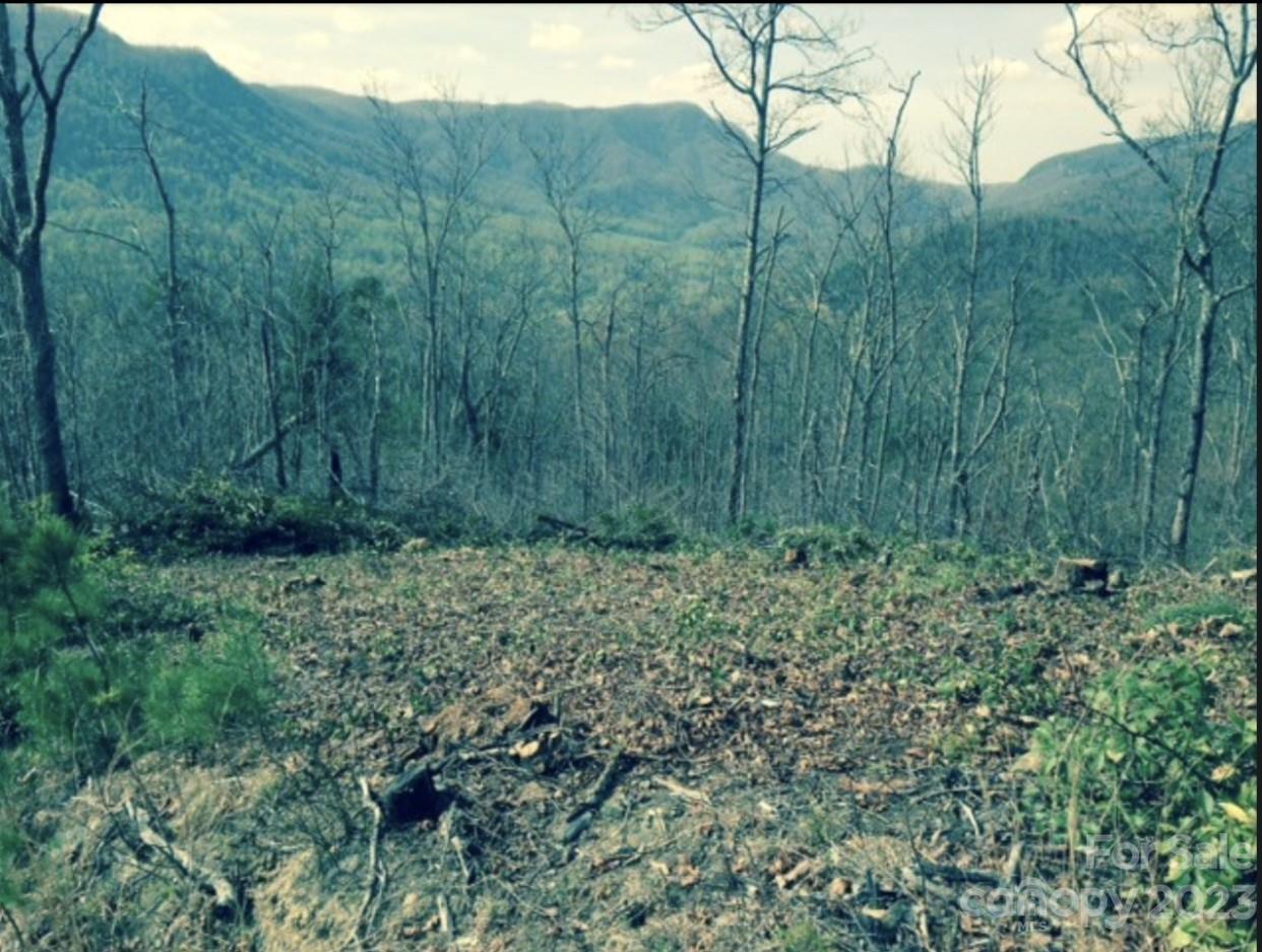 Lot 49 Sunrise Path Property Photo 14