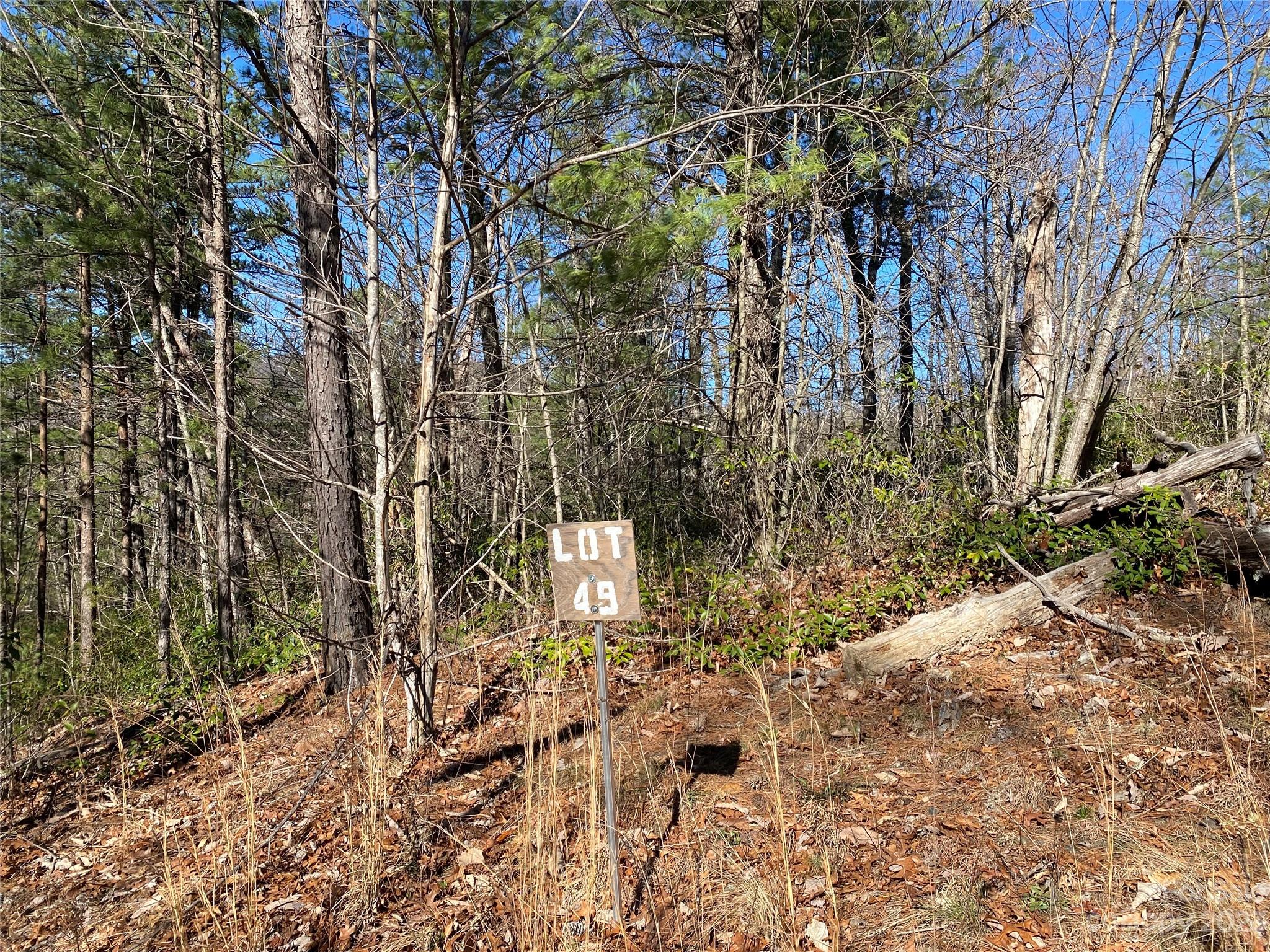 Lot 49 Sunrise Path Property Photo 15
