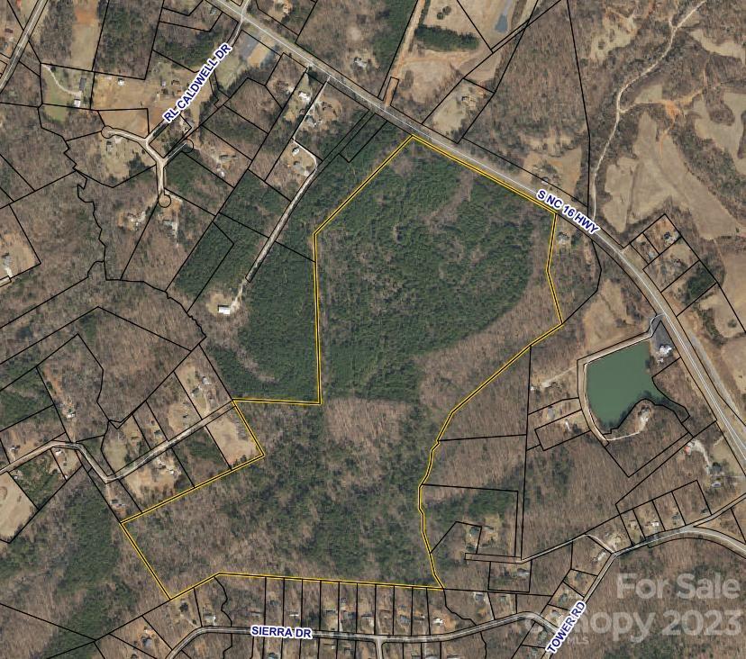 0 Nc Hwy 16 None Property Photo 2