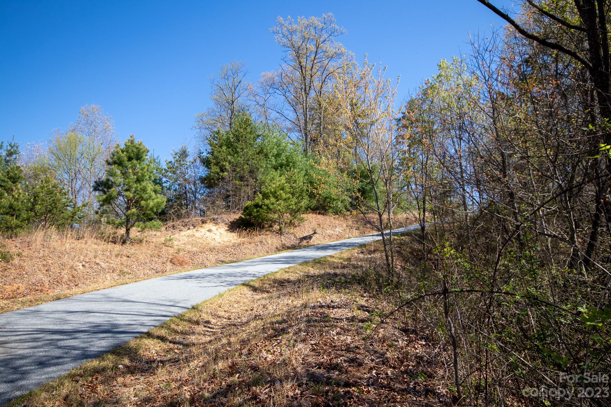 Lot# 513 Fire Crest Lane 513 Property Photo 8