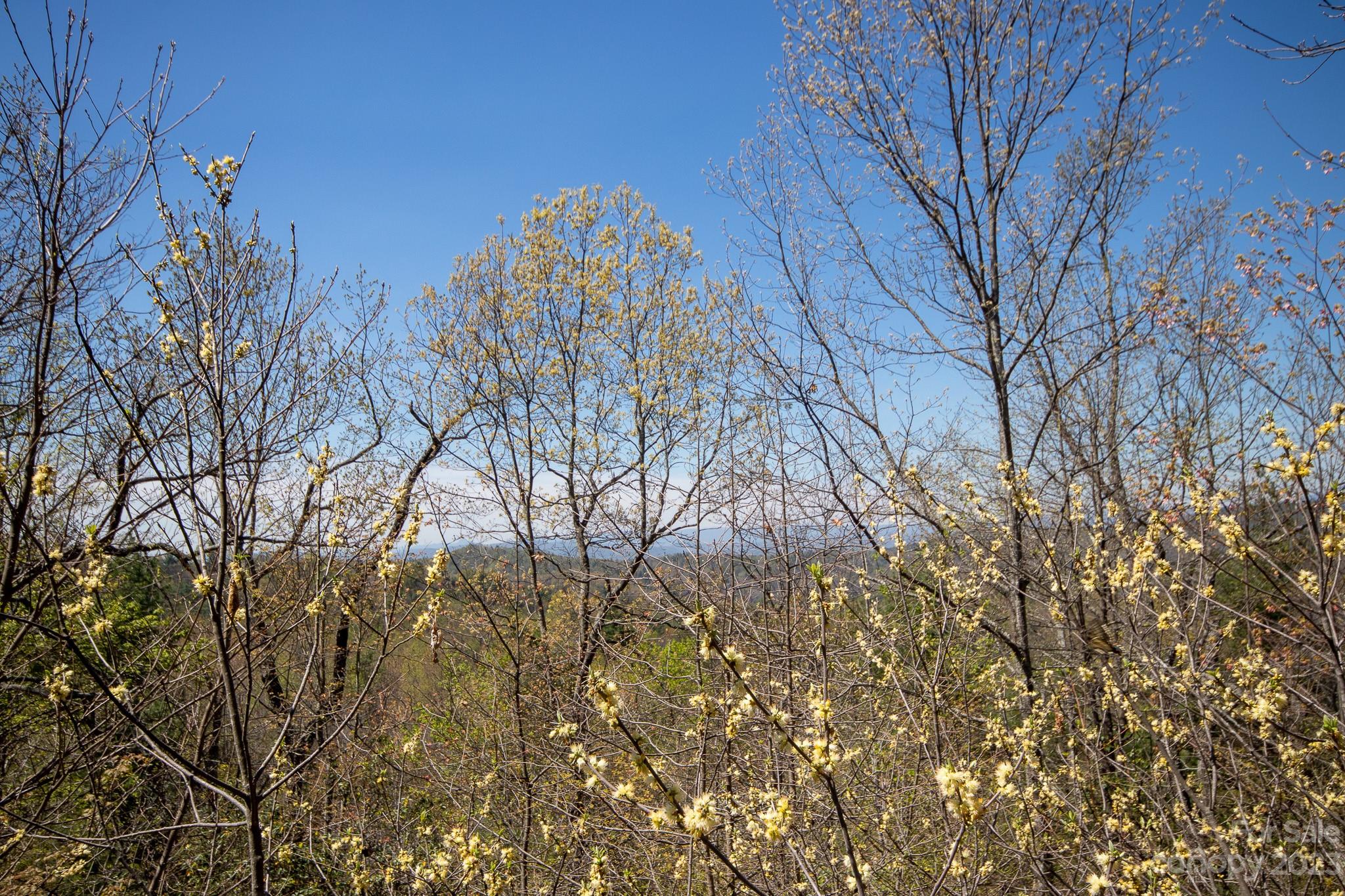 Lot# 513 Fire Crest Lane 513 Property Photo 9