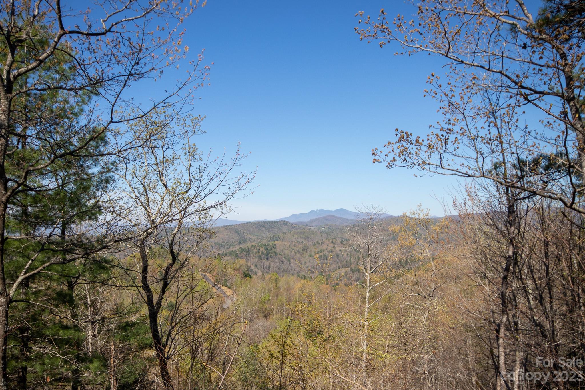 Lot# 513 Fire Crest Lane 513 Property Photo 11
