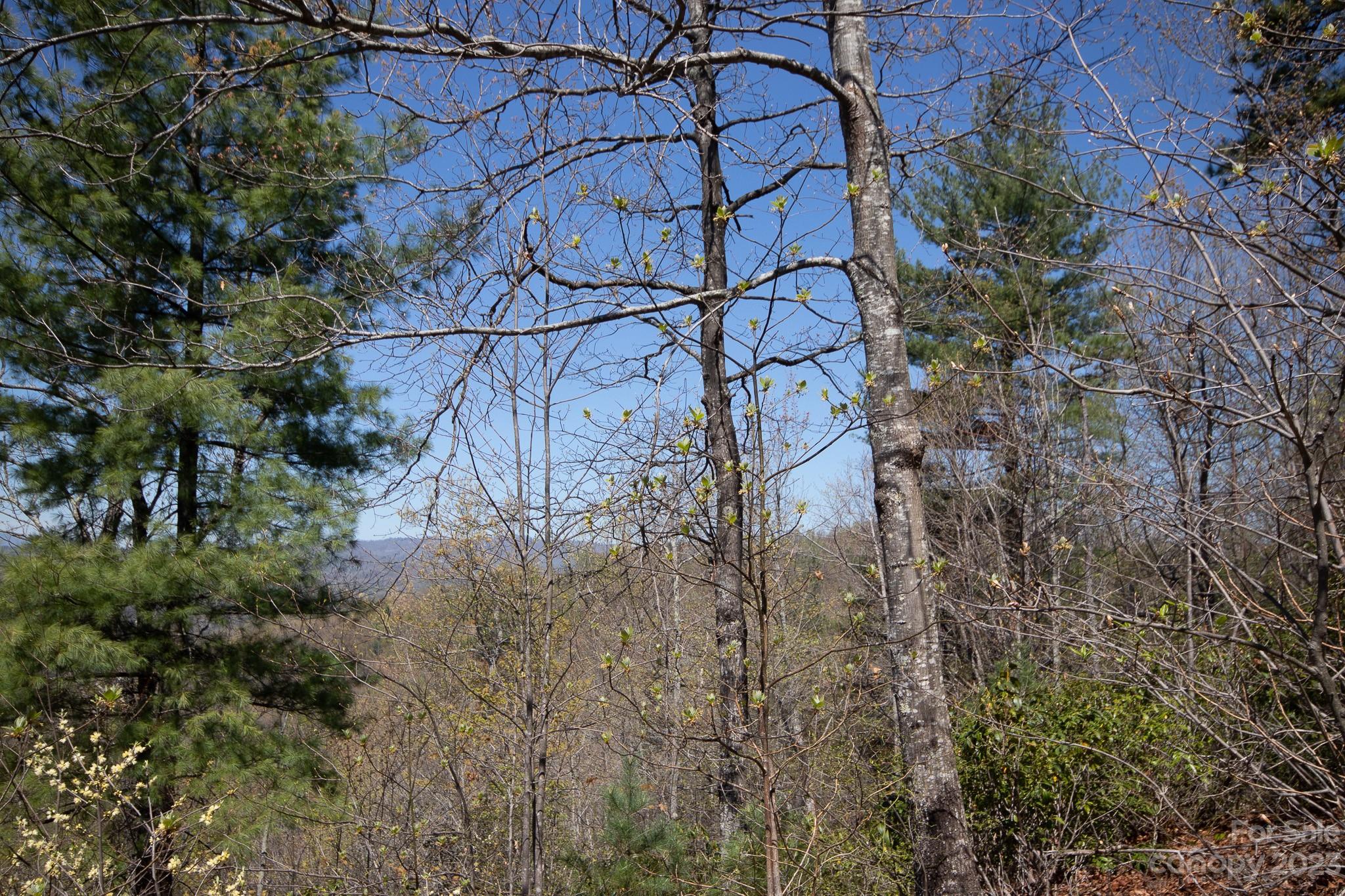 Lot# 513 Fire Crest Lane 513 Property Photo 14