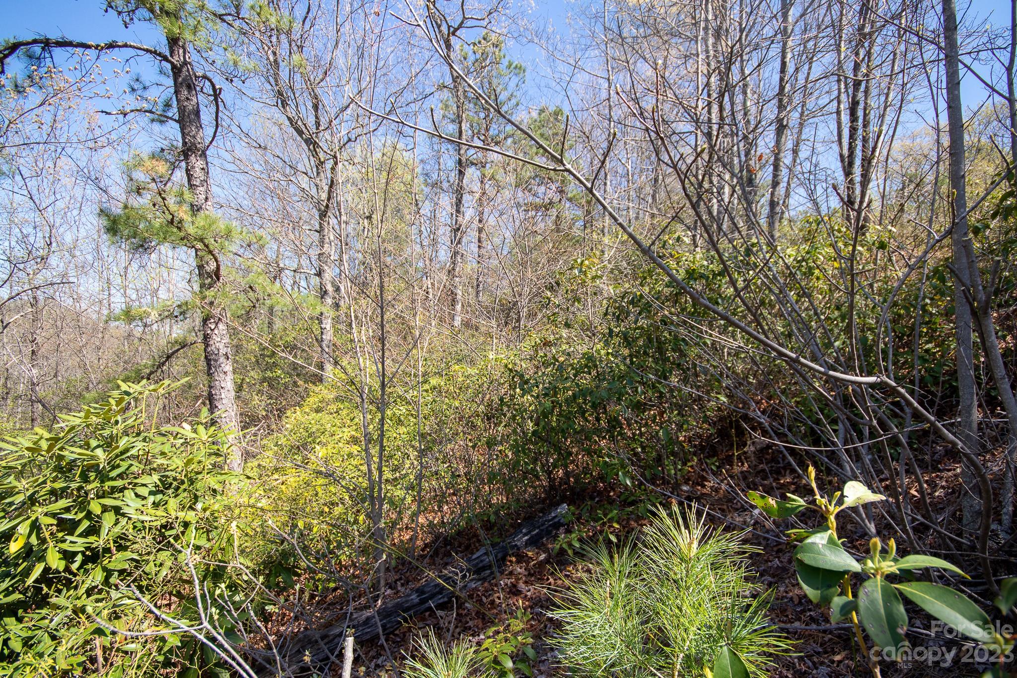 Lot# 513 Fire Crest Lane 513 Property Photo 15