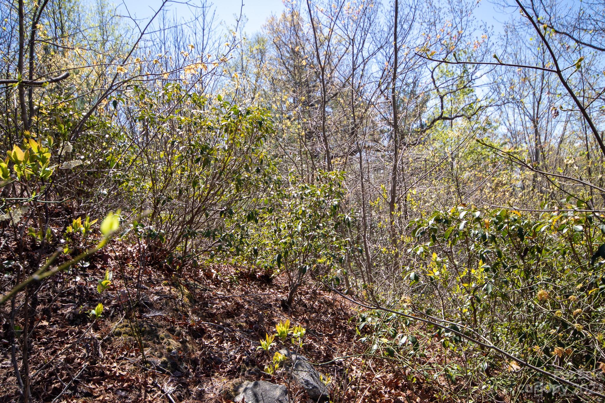 Lot# 513 Fire Crest Lane 513 Property Photo 16
