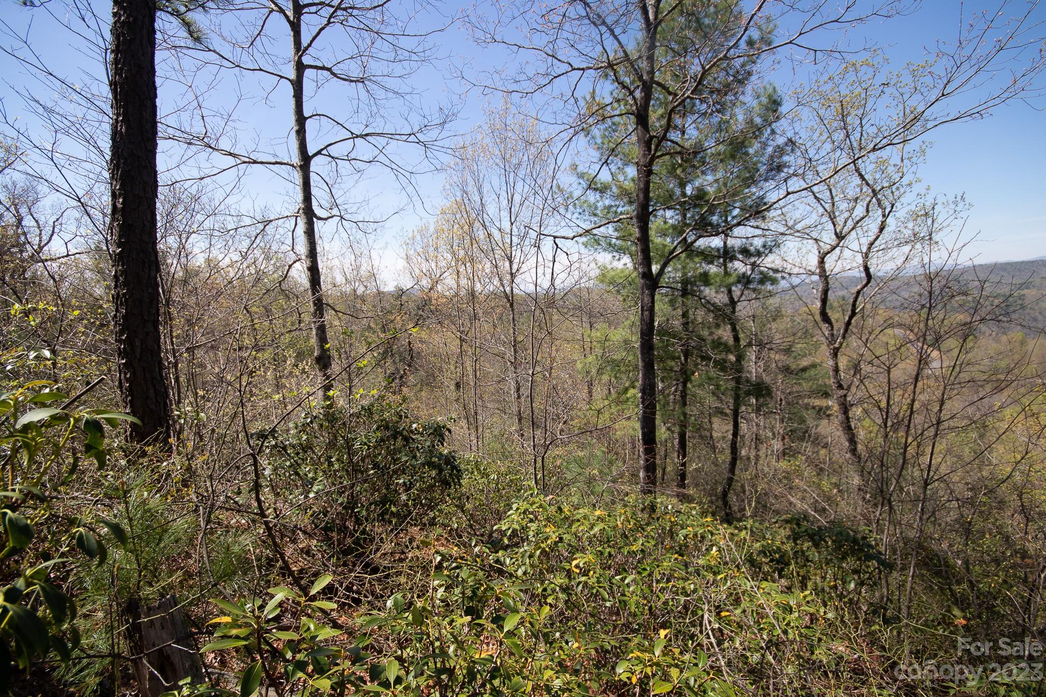 Lot# 513 Fire Crest Lane 513 Property Photo 17