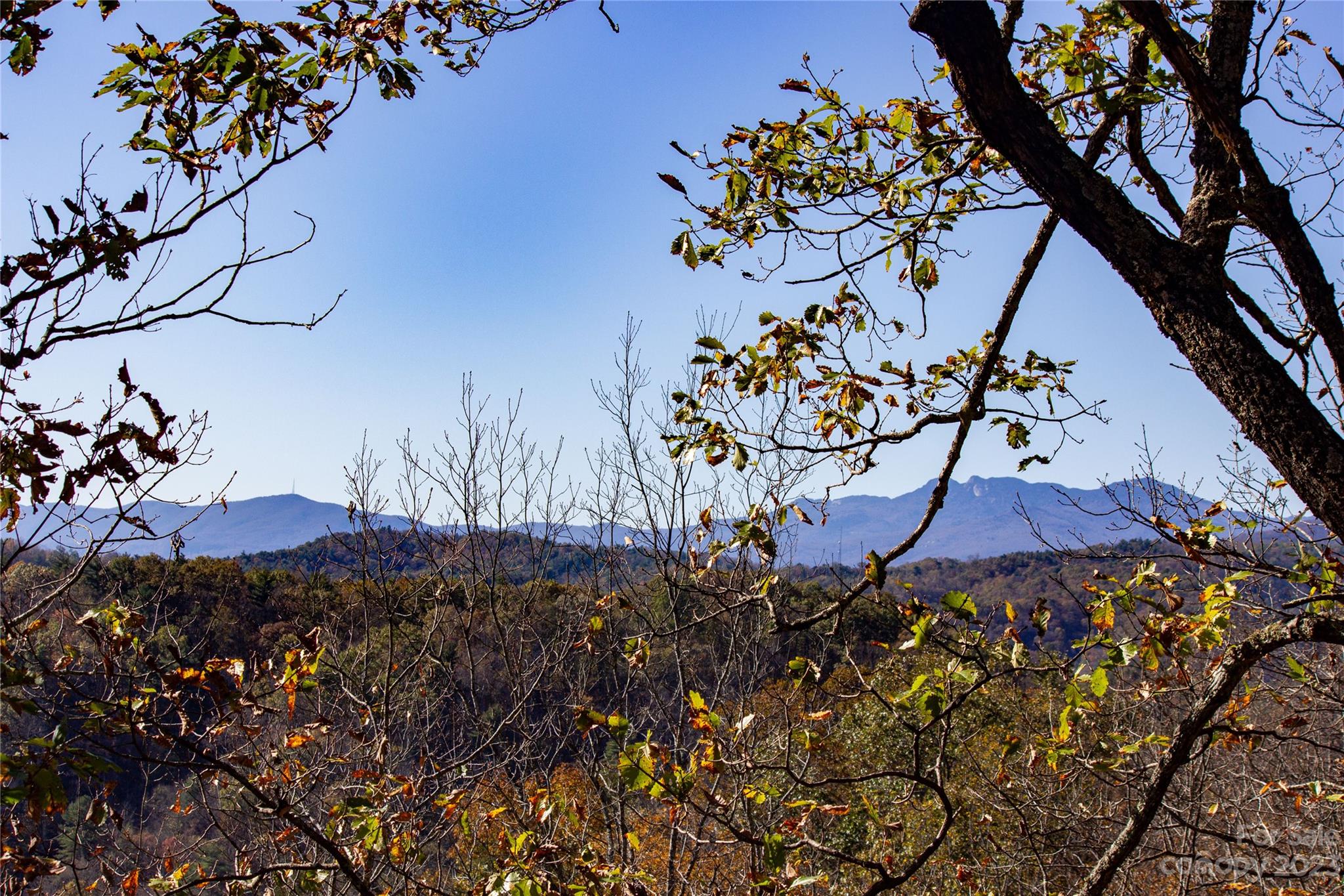 Lot# 547 Autumn Ridge 547 Property Photo 1