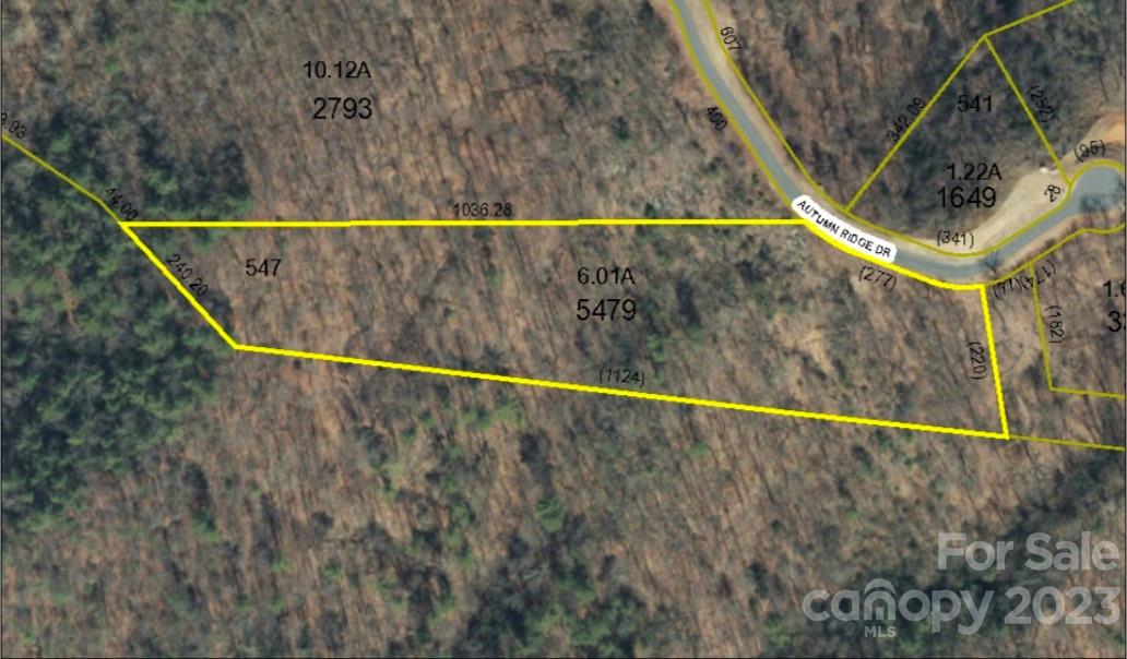Lot# 547 Autumn Ridge 547 Property Photo 2