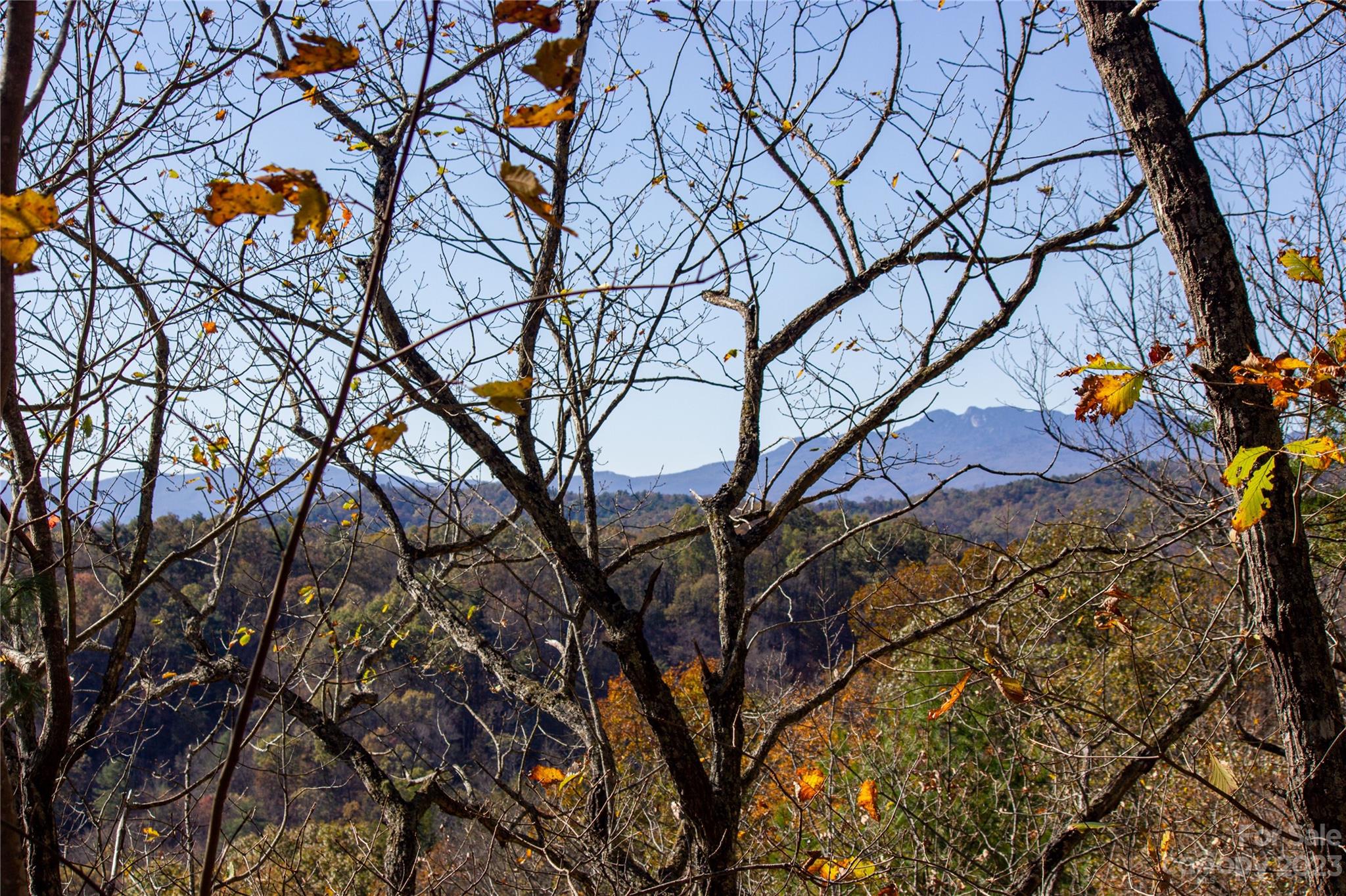 Lot# 547 Autumn Ridge 547 Property Photo 3