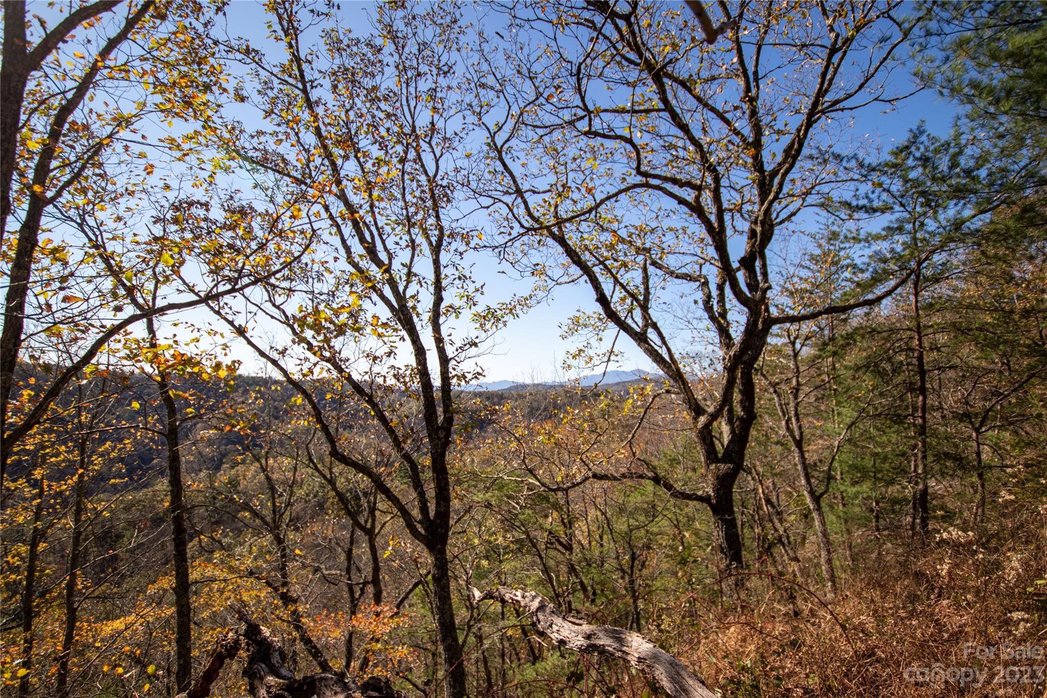 Lot# 547 Autumn Ridge 547 Property Photo 4