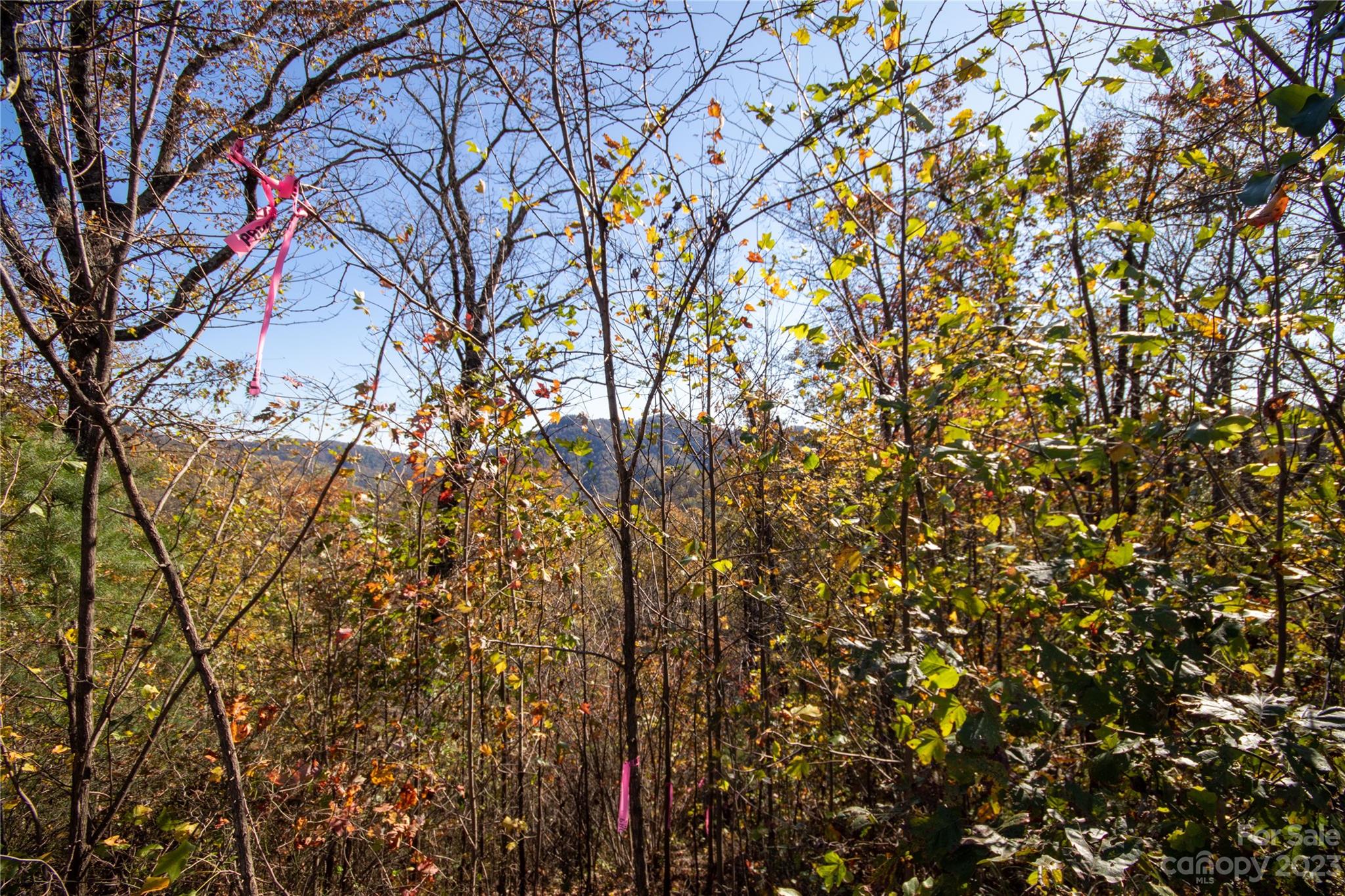 Lot# 547 Autumn Ridge 547 Property Photo 6
