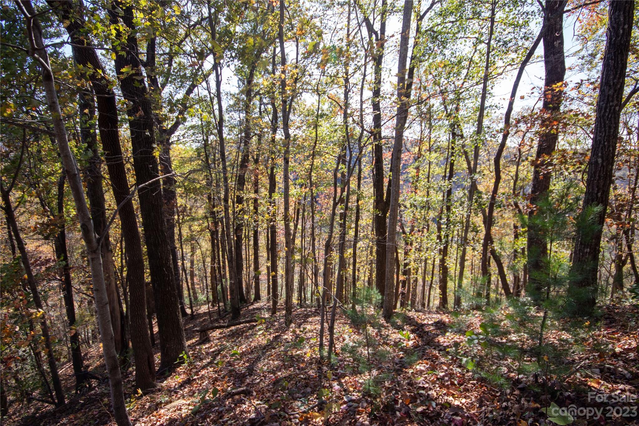 Lot# 547 Autumn Ridge 547 Property Photo 7