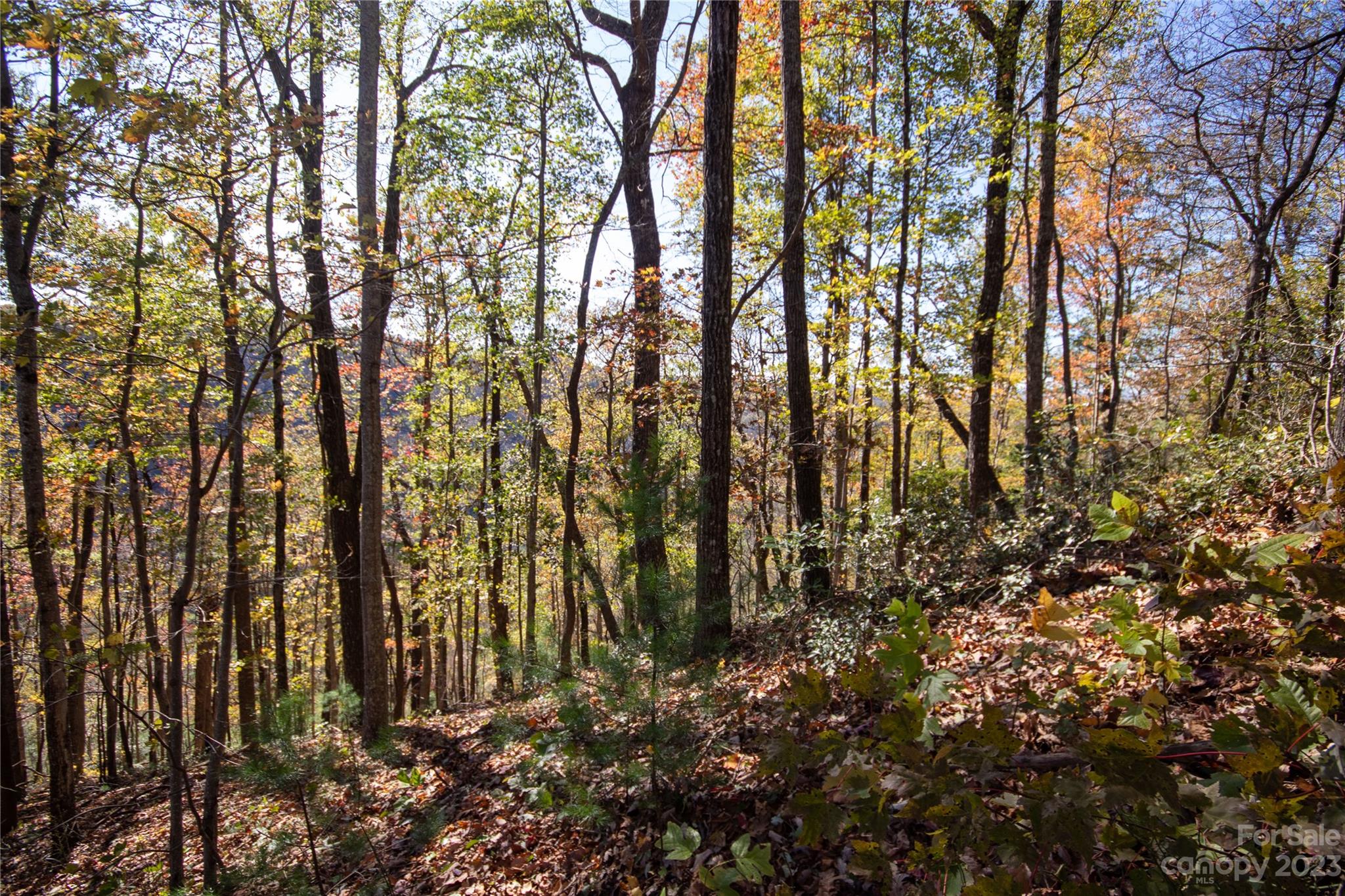 Lot# 547 Autumn Ridge 547 Property Photo 8