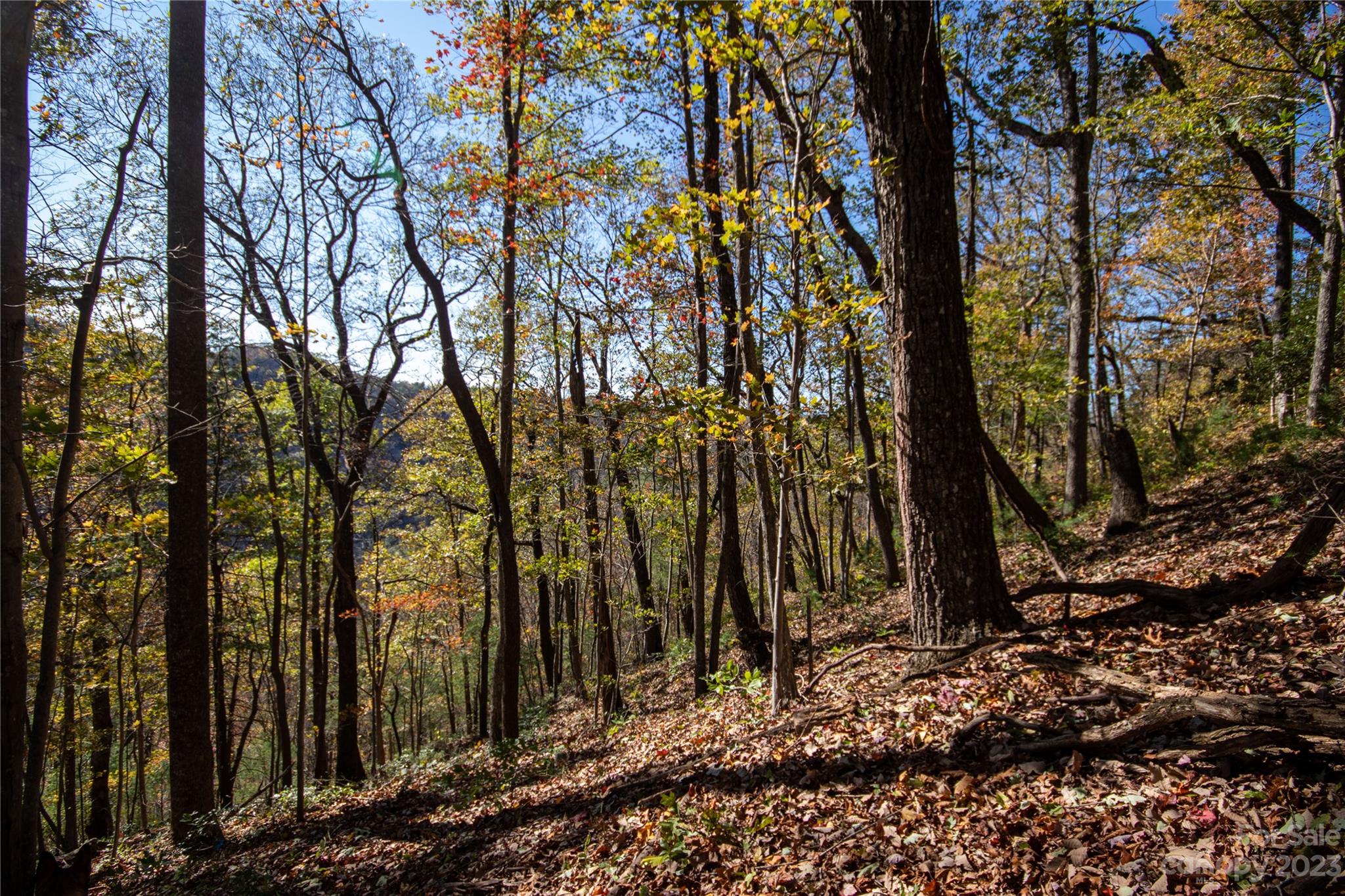 Lot# 547 Autumn Ridge 547 Property Photo 9
