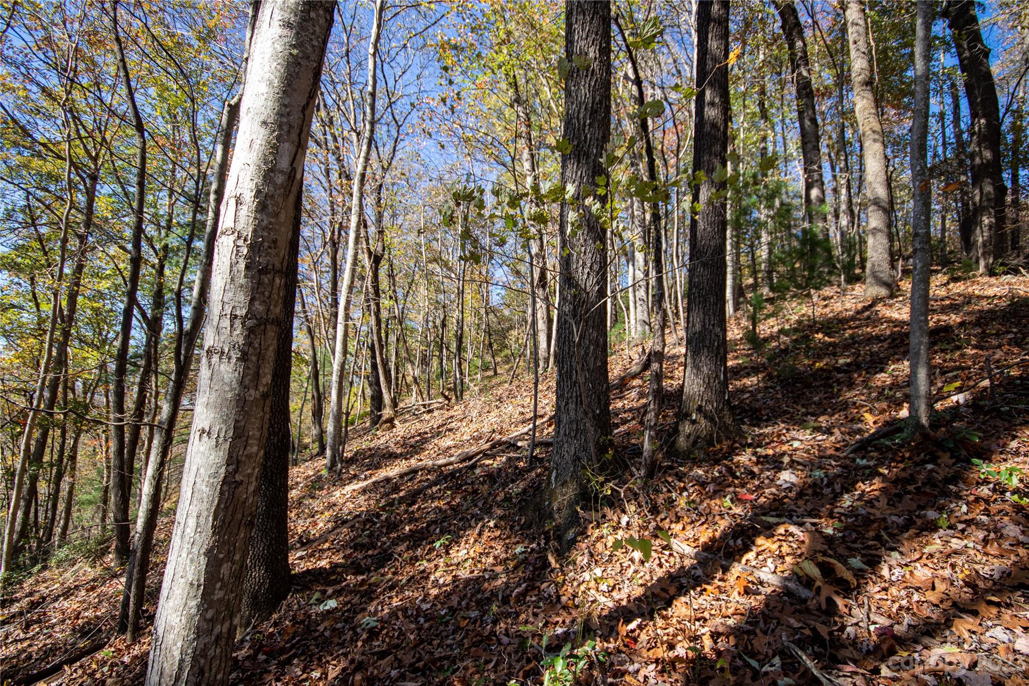Lot# 547 Autumn Ridge 547 Property Photo 11