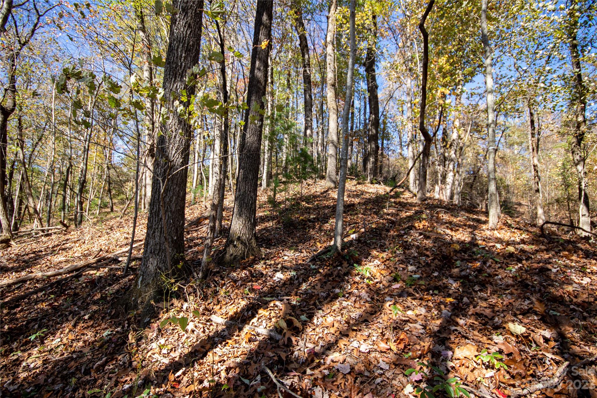 Lot# 547 Autumn Ridge 547 Property Photo 12