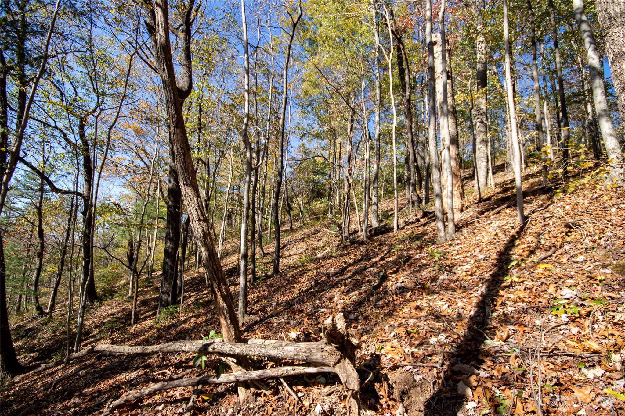 Lot# 547 Autumn Ridge 547 Property Photo 13