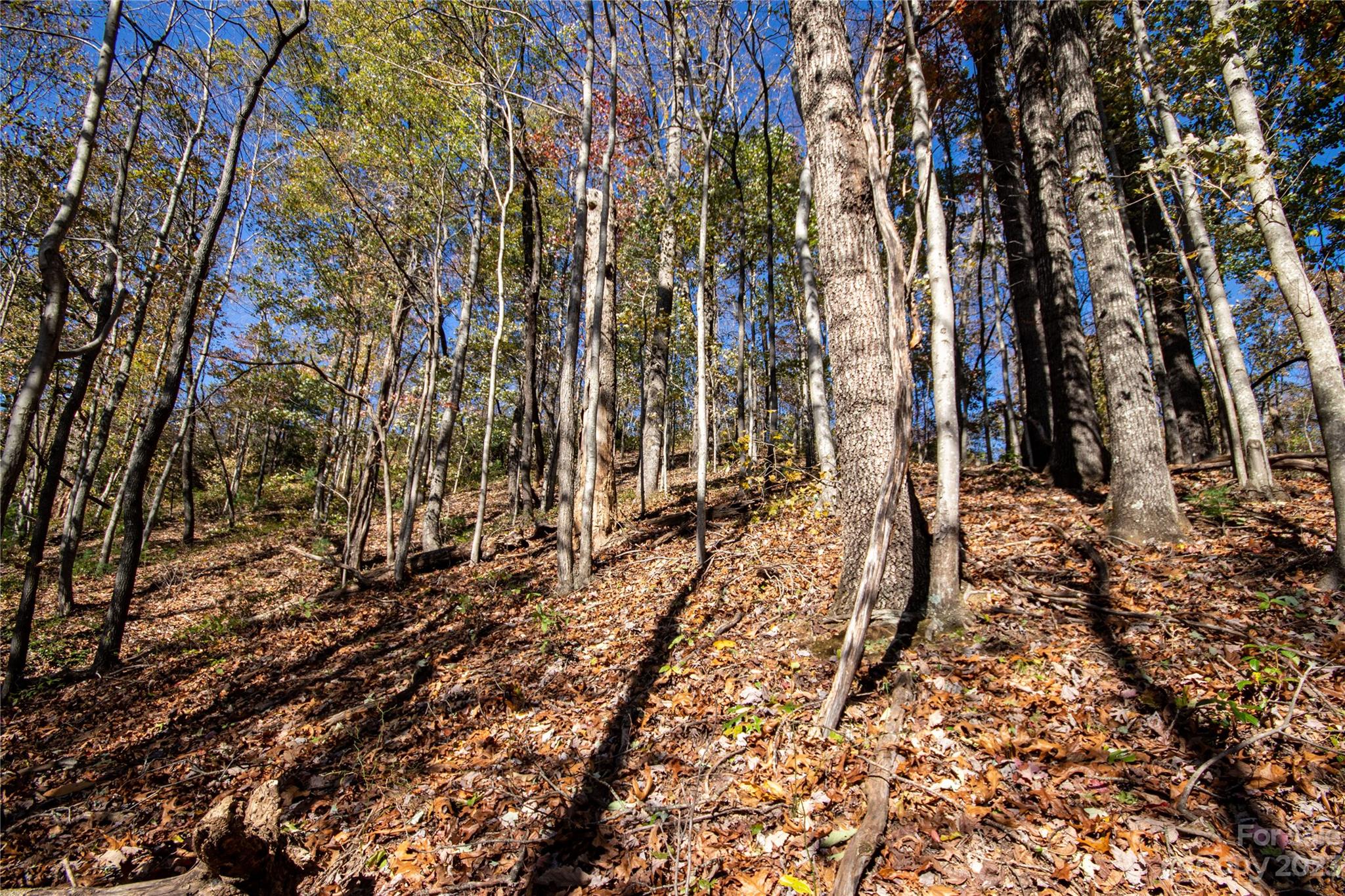 Lot# 547 Autumn Ridge 547 Property Photo 14