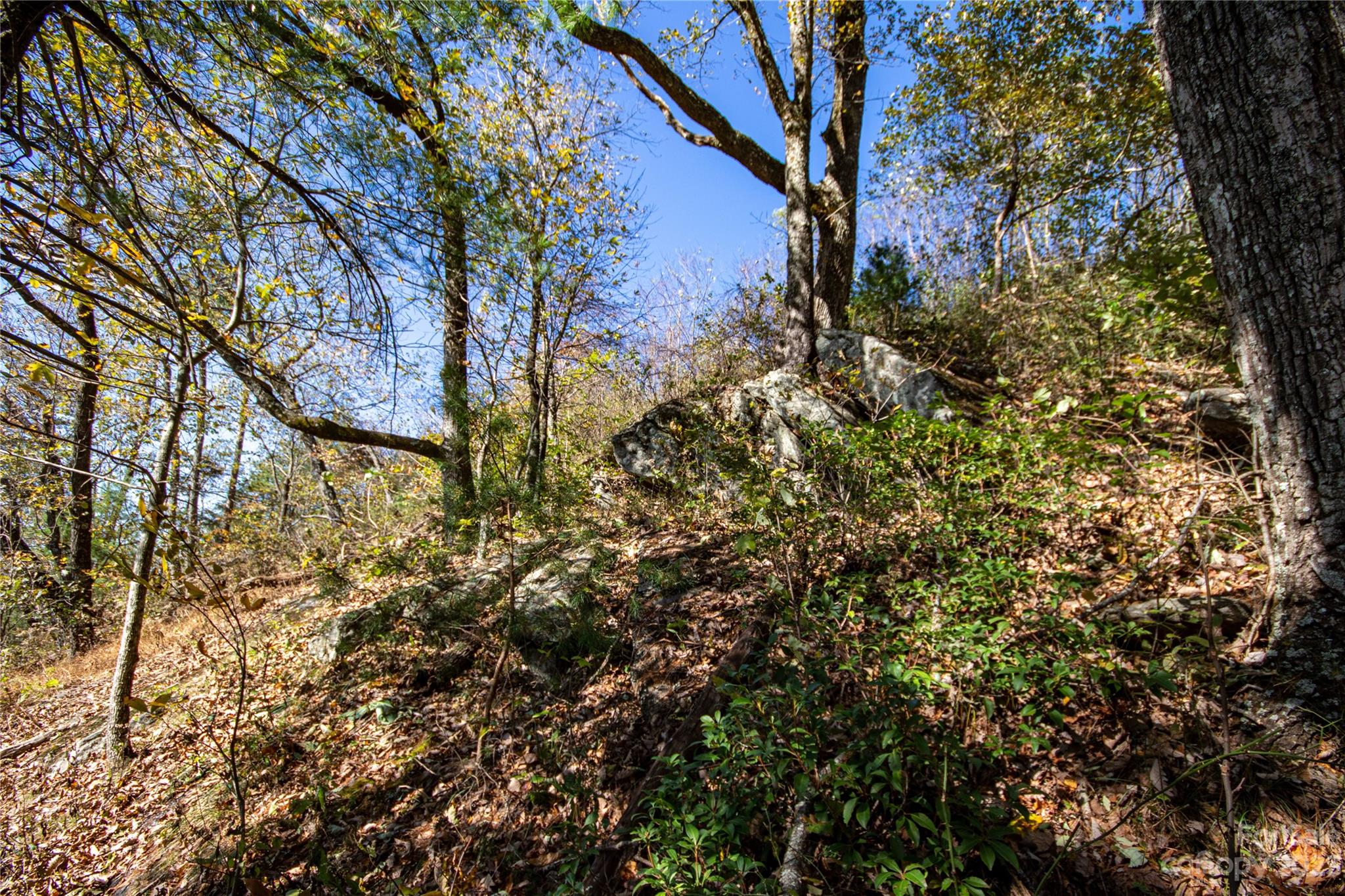 Lot# 547 Autumn Ridge 547 Property Photo 15