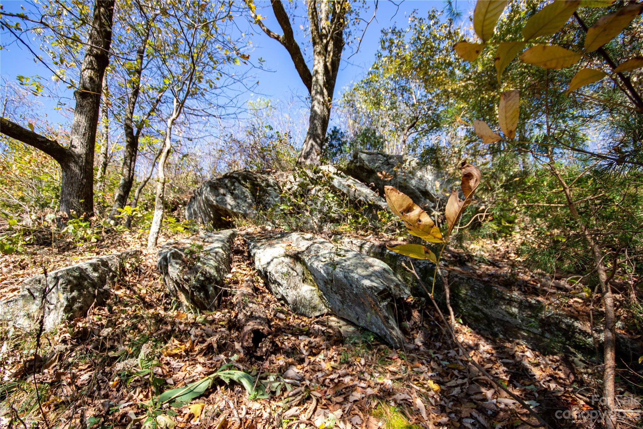 Lot# 547 Autumn Ridge 547 Property Photo 16