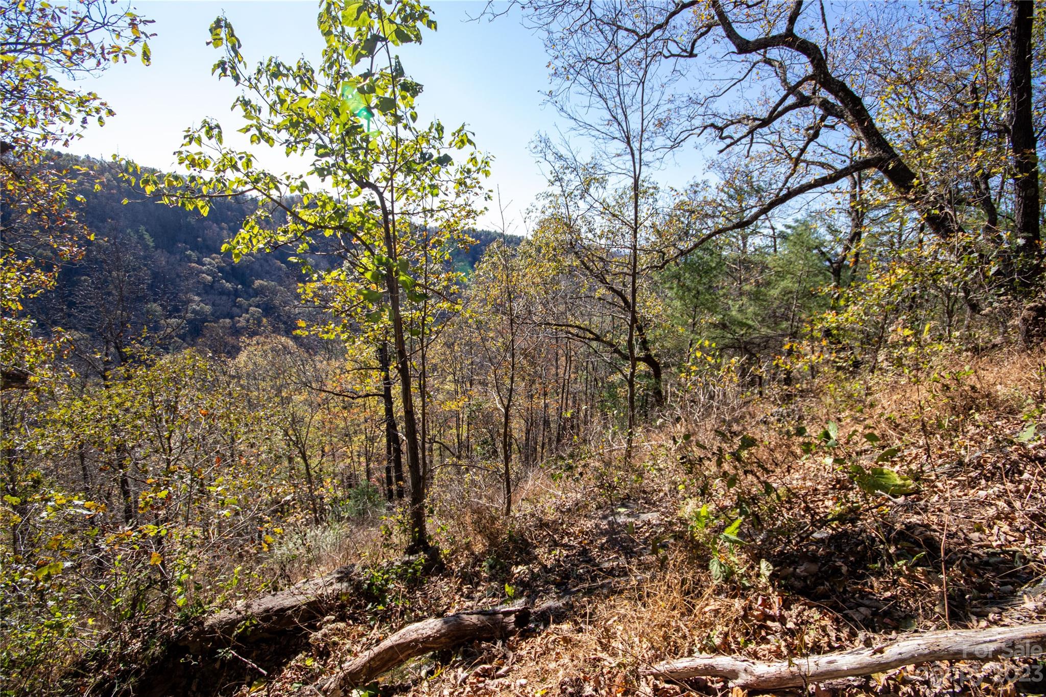 Lot# 547 Autumn Ridge 547 Property Photo 17