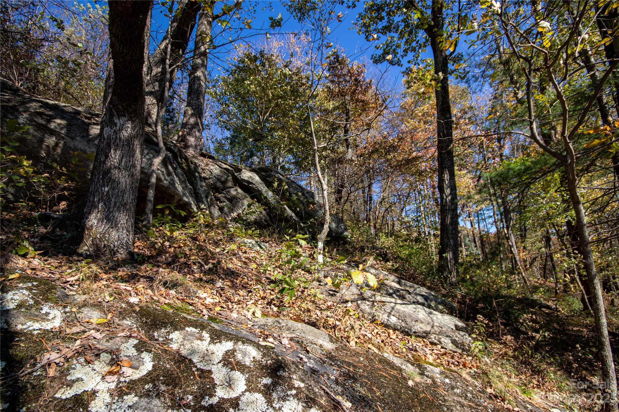 Lot# 547 Autumn Ridge 547 Property Photo 18