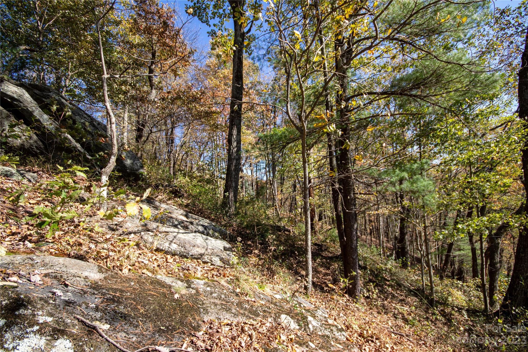 Lot# 547 Autumn Ridge 547 Property Photo 19