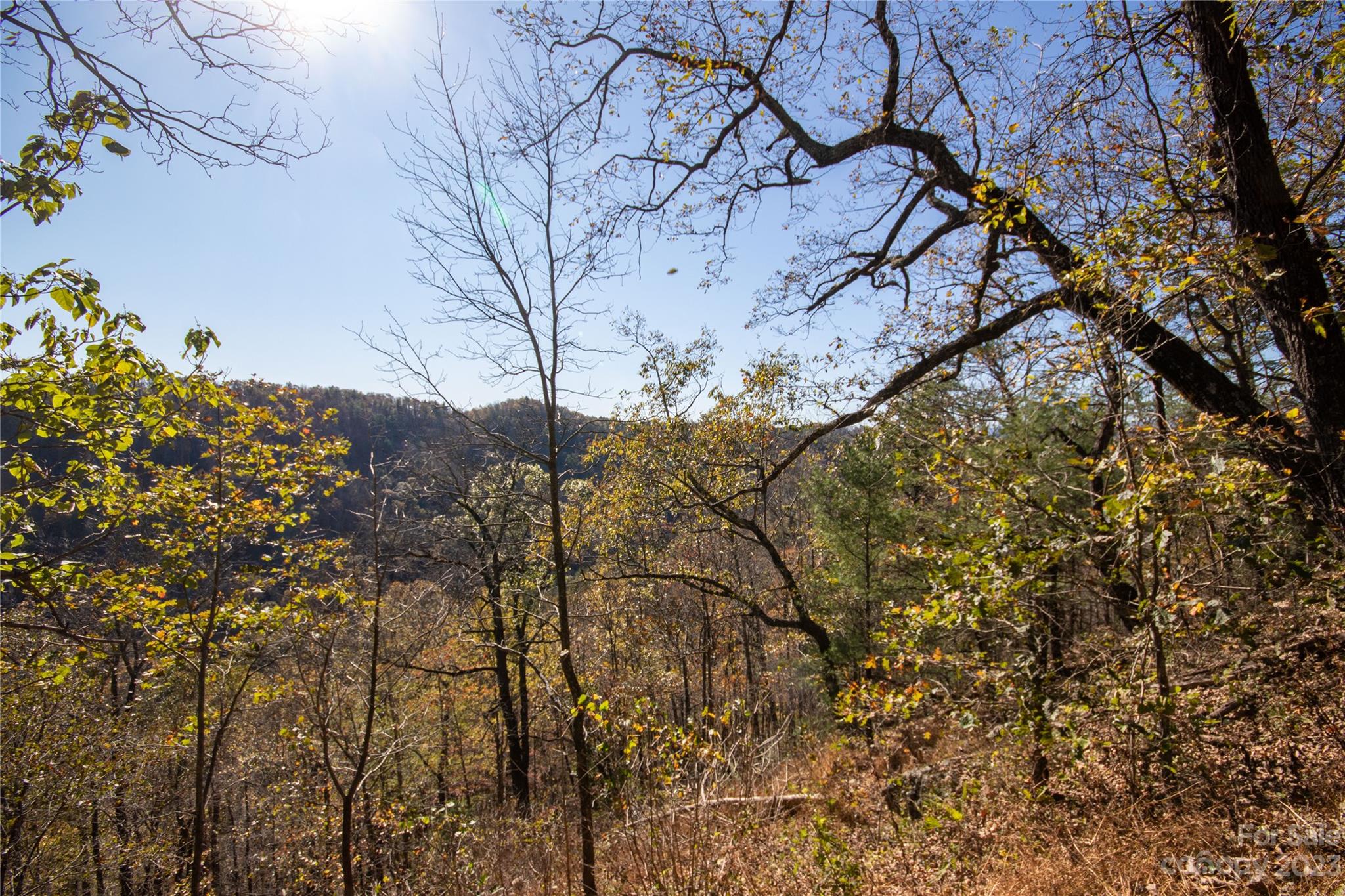 Lot# 547 Autumn Ridge 547 Property Photo 20