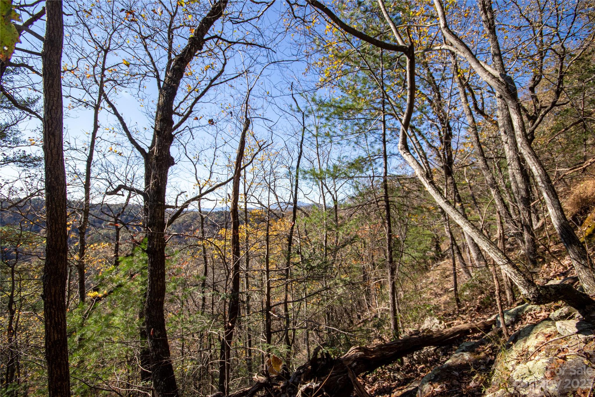 Lot# 547 Autumn Ridge 547 Property Photo 21
