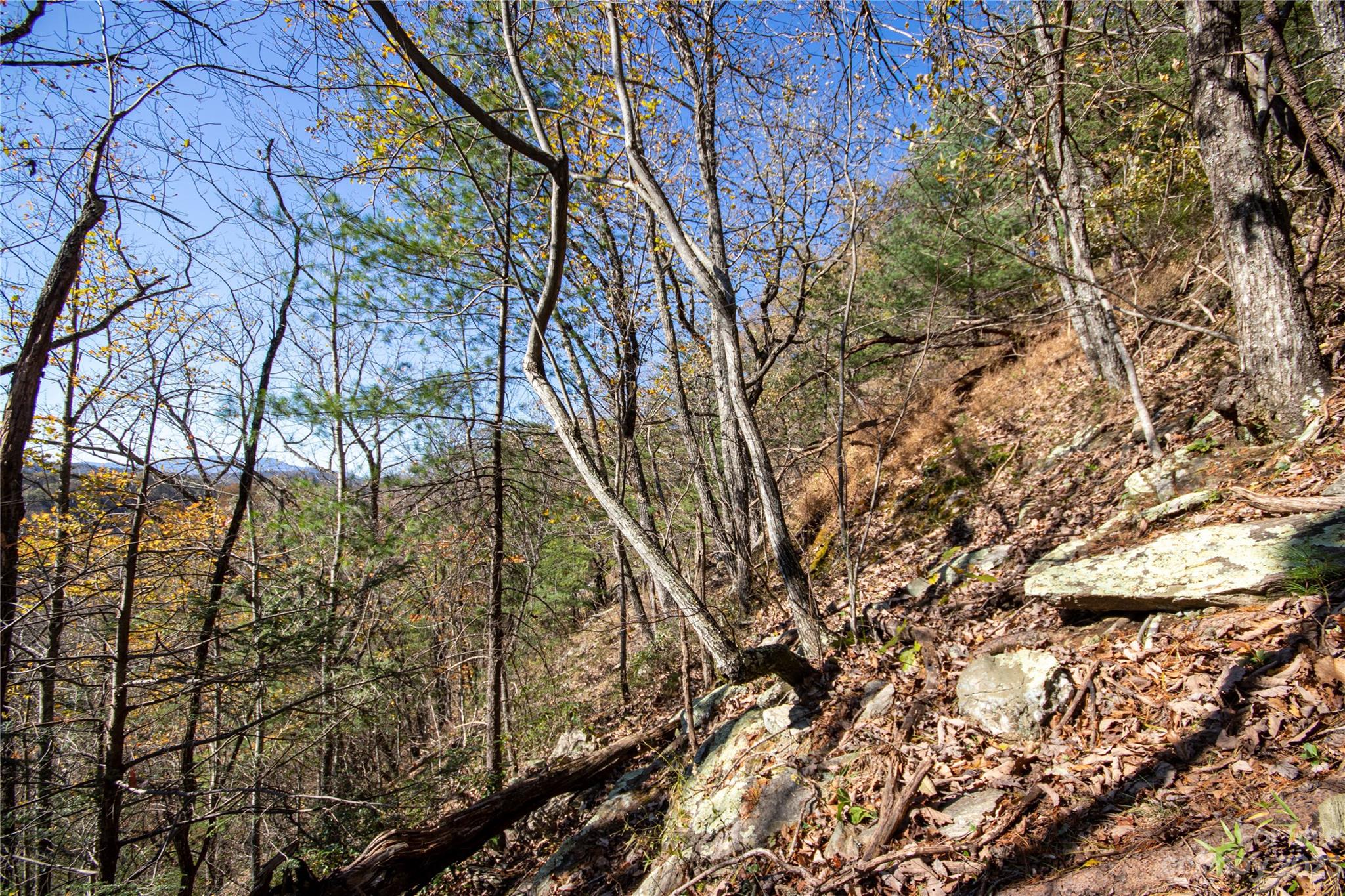 Lot# 547 Autumn Ridge 547 Property Photo 22