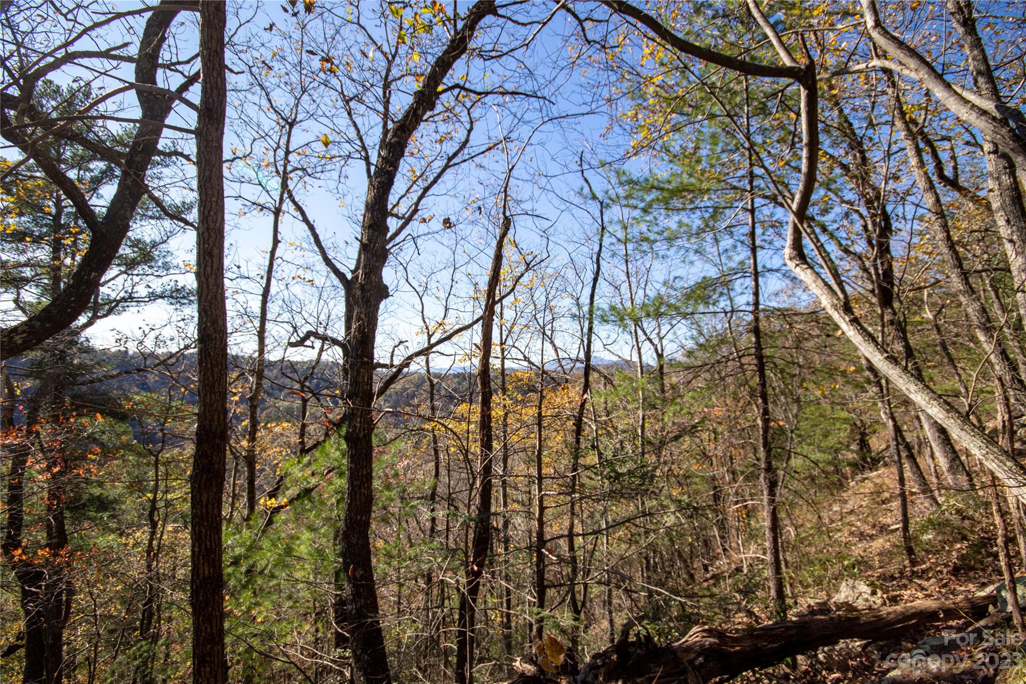 Lot# 547 Autumn Ridge 547 Property Photo 23