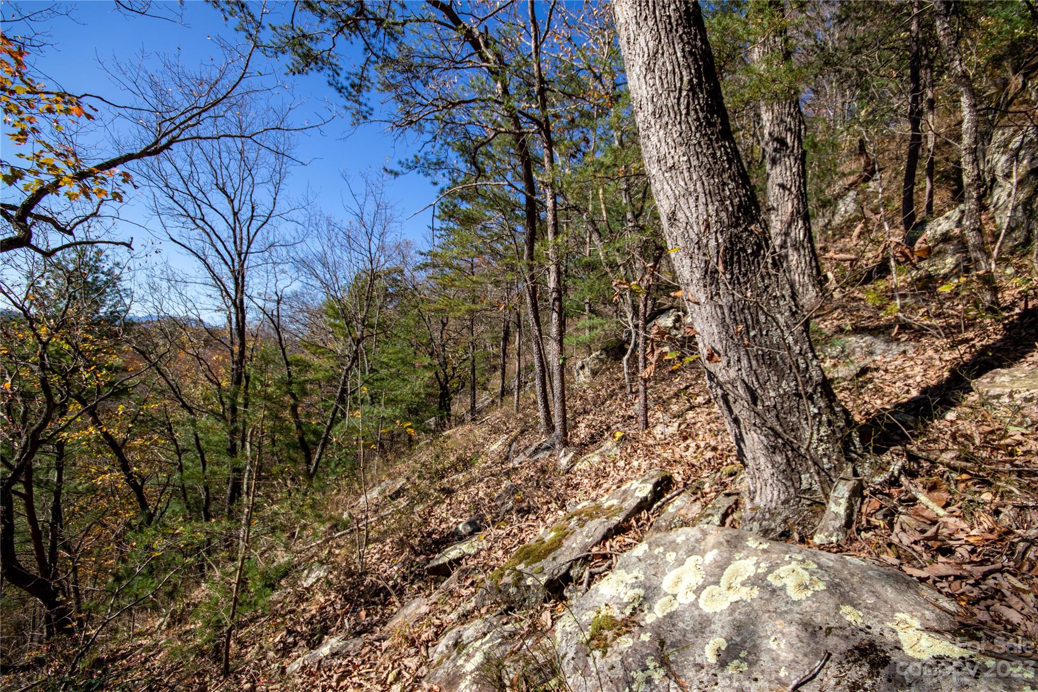 Lot# 547 Autumn Ridge 547 Property Photo 24