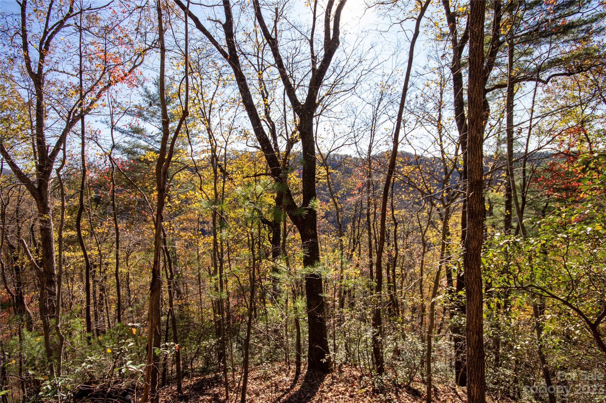 Lot# 547 Autumn Ridge 547 Property Photo 25