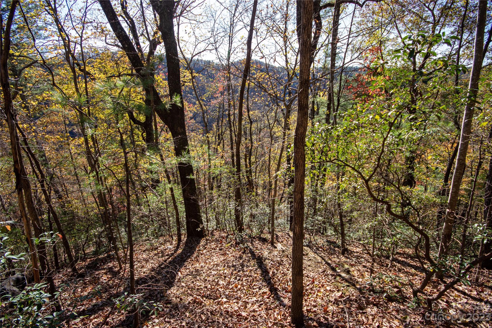 Lot# 547 Autumn Ridge 547 Property Photo 26