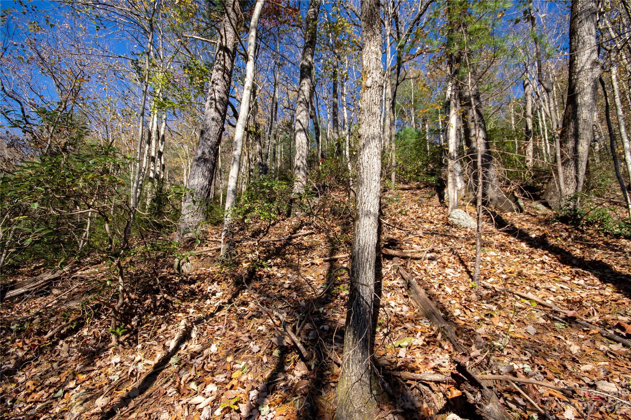 Lot# 547 Autumn Ridge 547 Property Photo 27