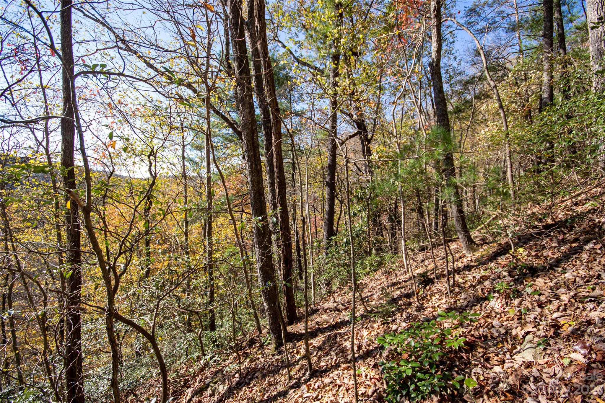 Lot# 547 Autumn Ridge 547 Property Photo 28