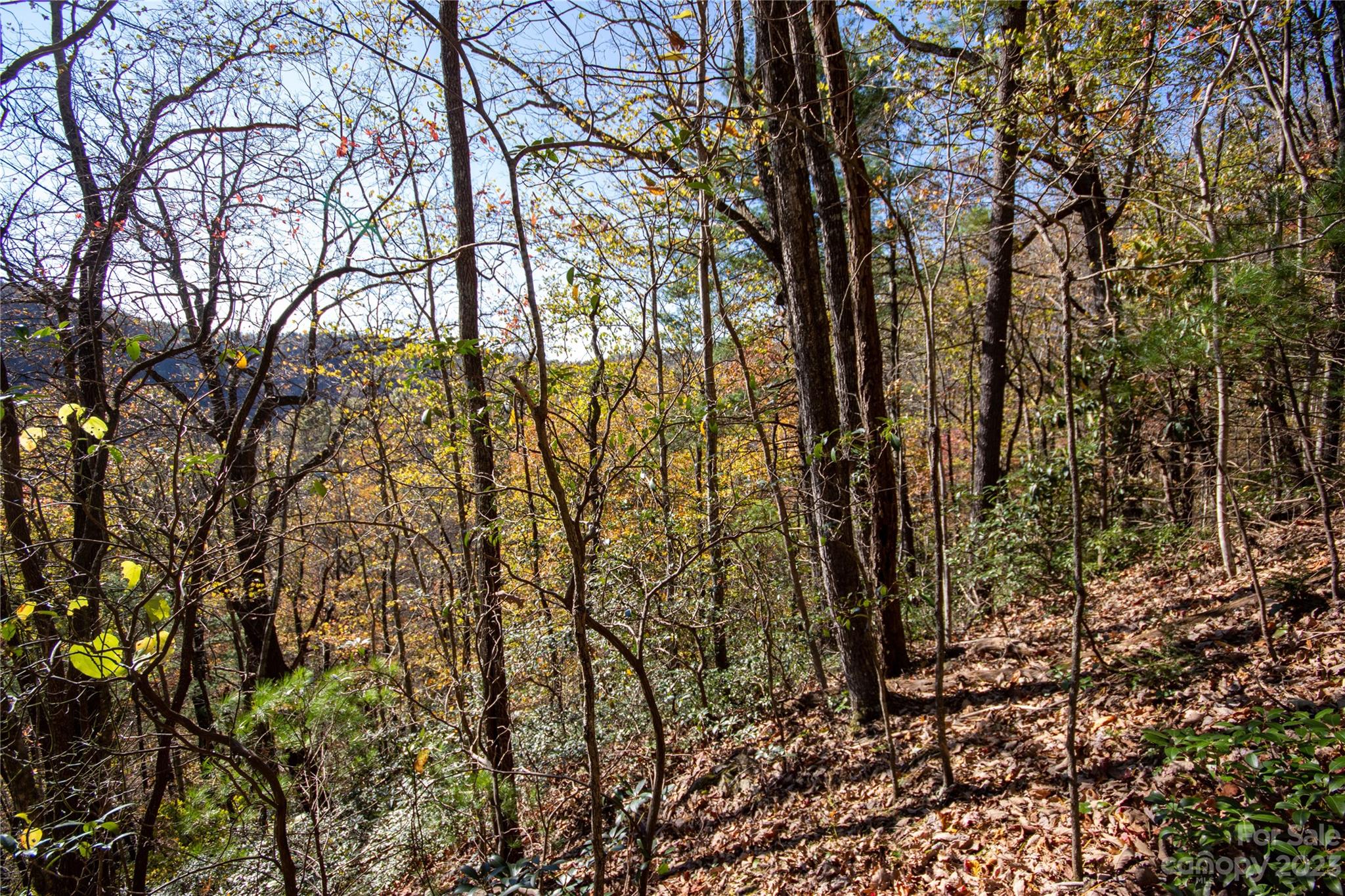 Lot# 547 Autumn Ridge 547 Property Photo 29