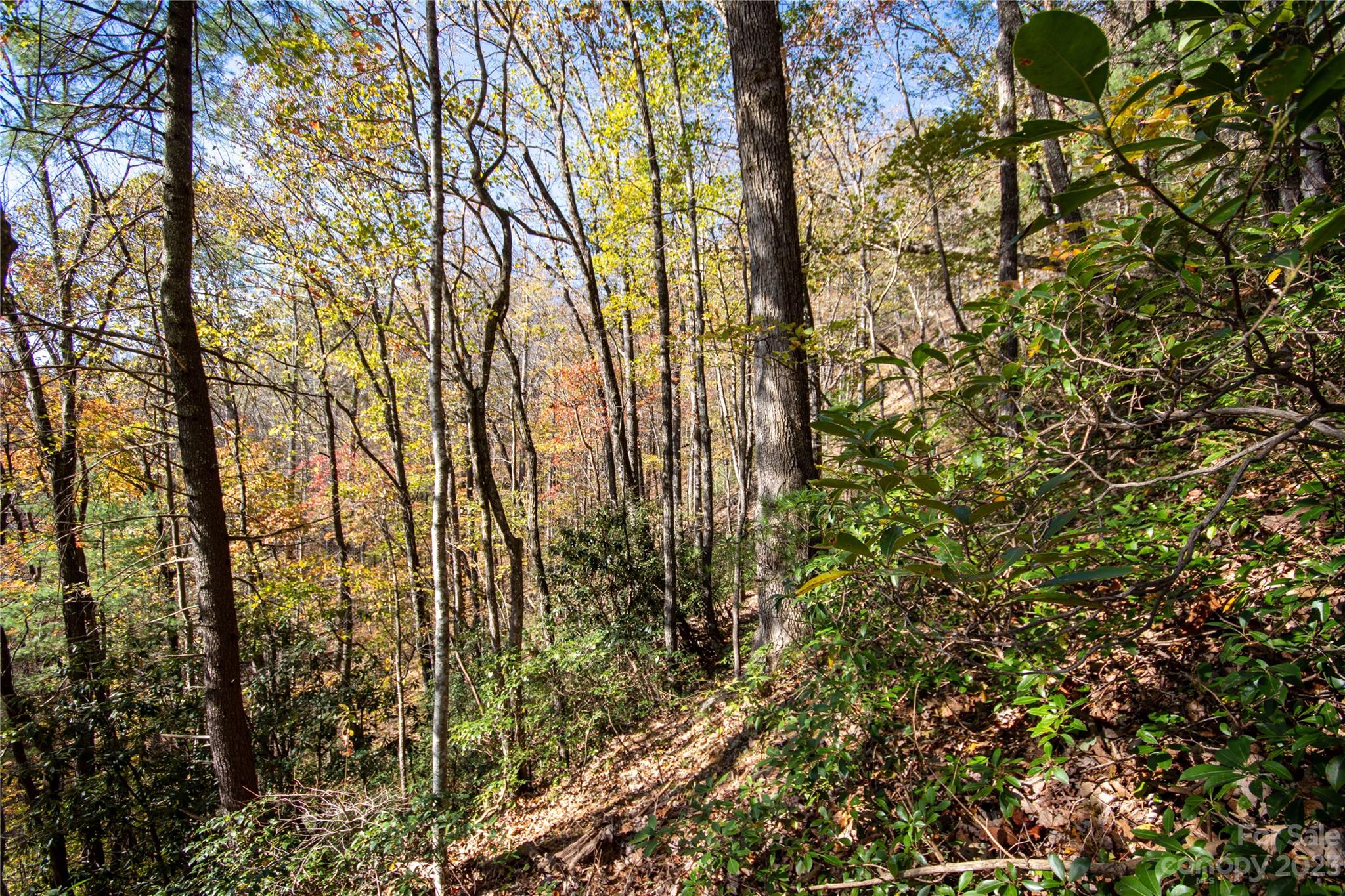 Lot# 547 Autumn Ridge 547 Property Photo 30