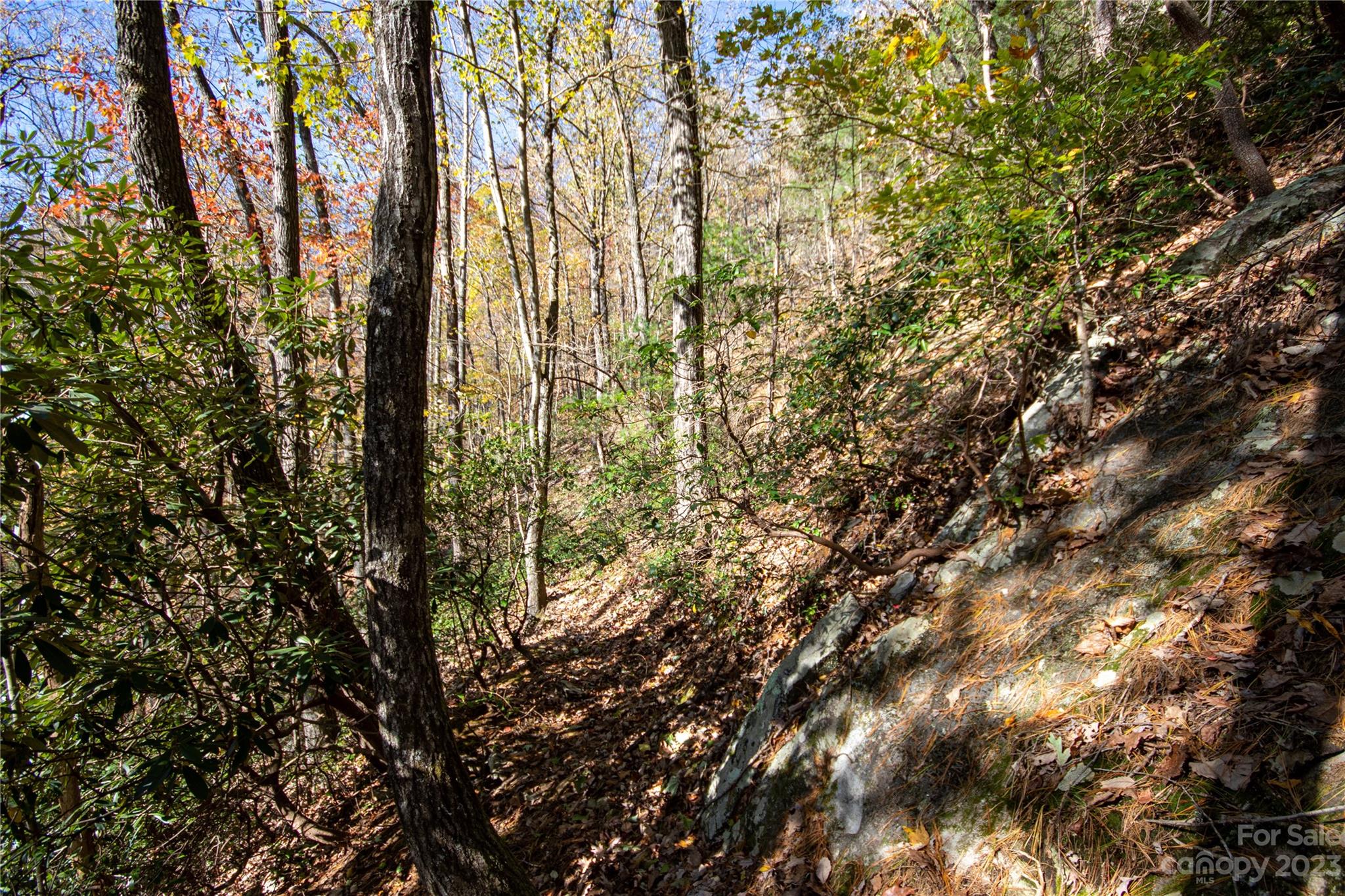 Lot# 547 Autumn Ridge 547 Property Photo 31