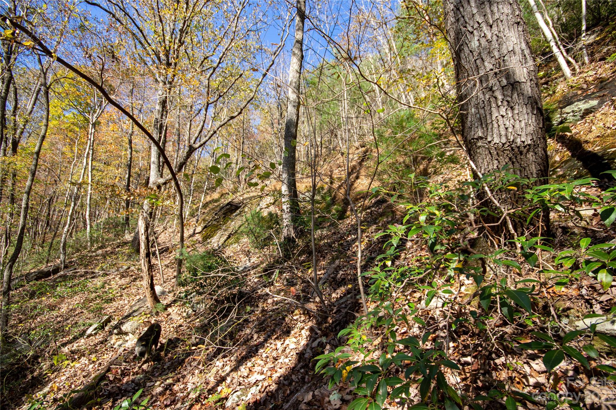 Lot# 547 Autumn Ridge 547 Property Photo 32