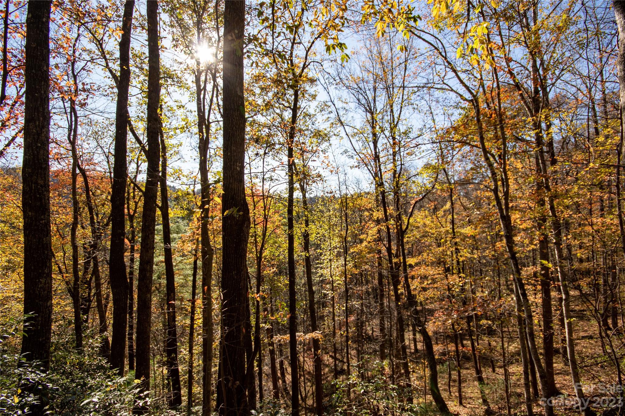 Lot# 547 Autumn Ridge 547 Property Photo 33
