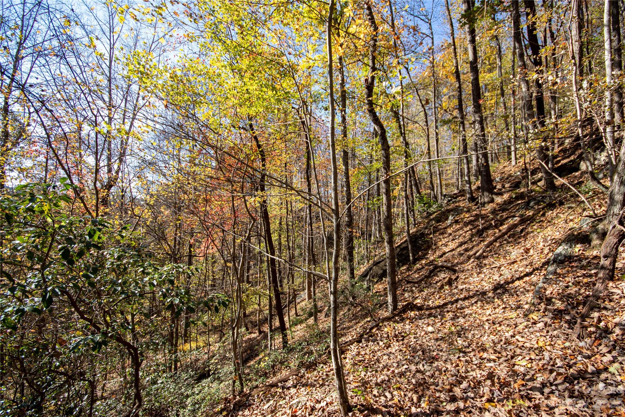 Lot# 547 Autumn Ridge 547 Property Photo 34
