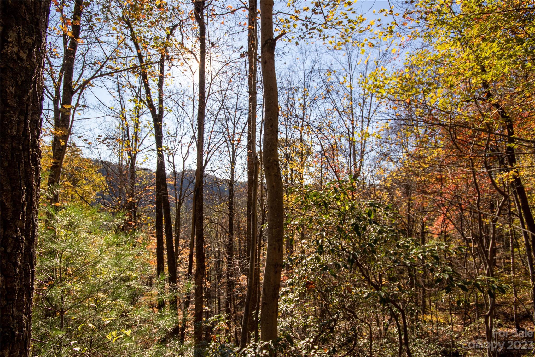 Lot# 547 Autumn Ridge 547 Property Photo 35